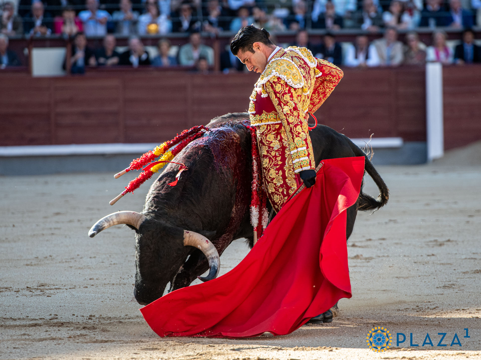 <p>Foto: Alfredo Arévalo / Plaza 1</p>
