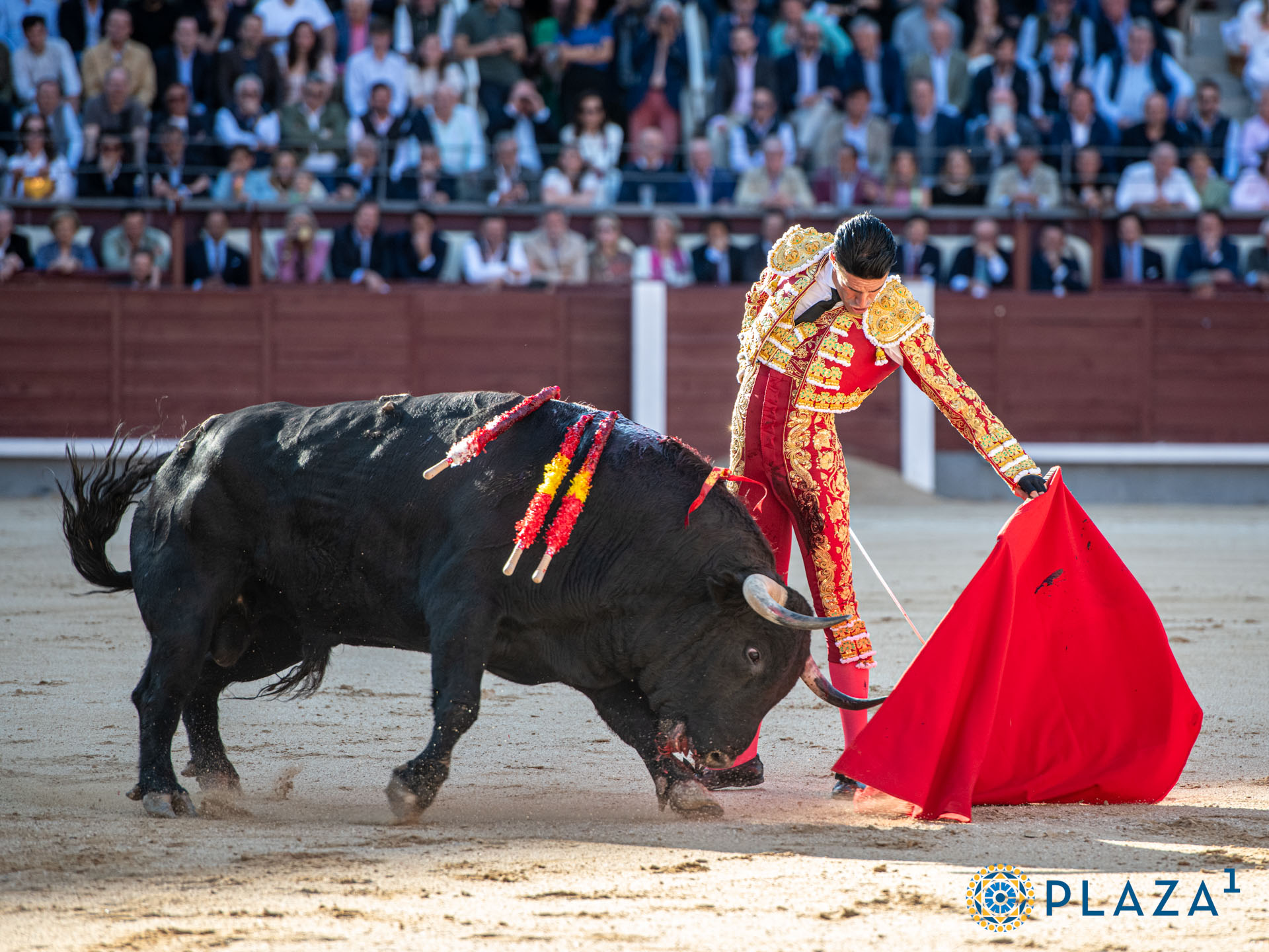 <p>Foto: Alfredo Arévalo / Plaza 1</p>