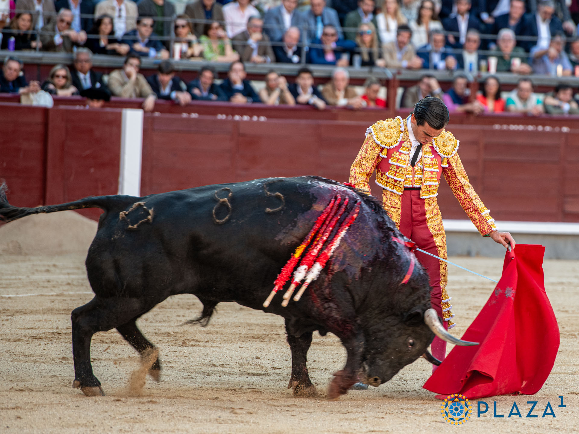 <p>Foto: Alfredo Arévalo / Plaza 1</p>