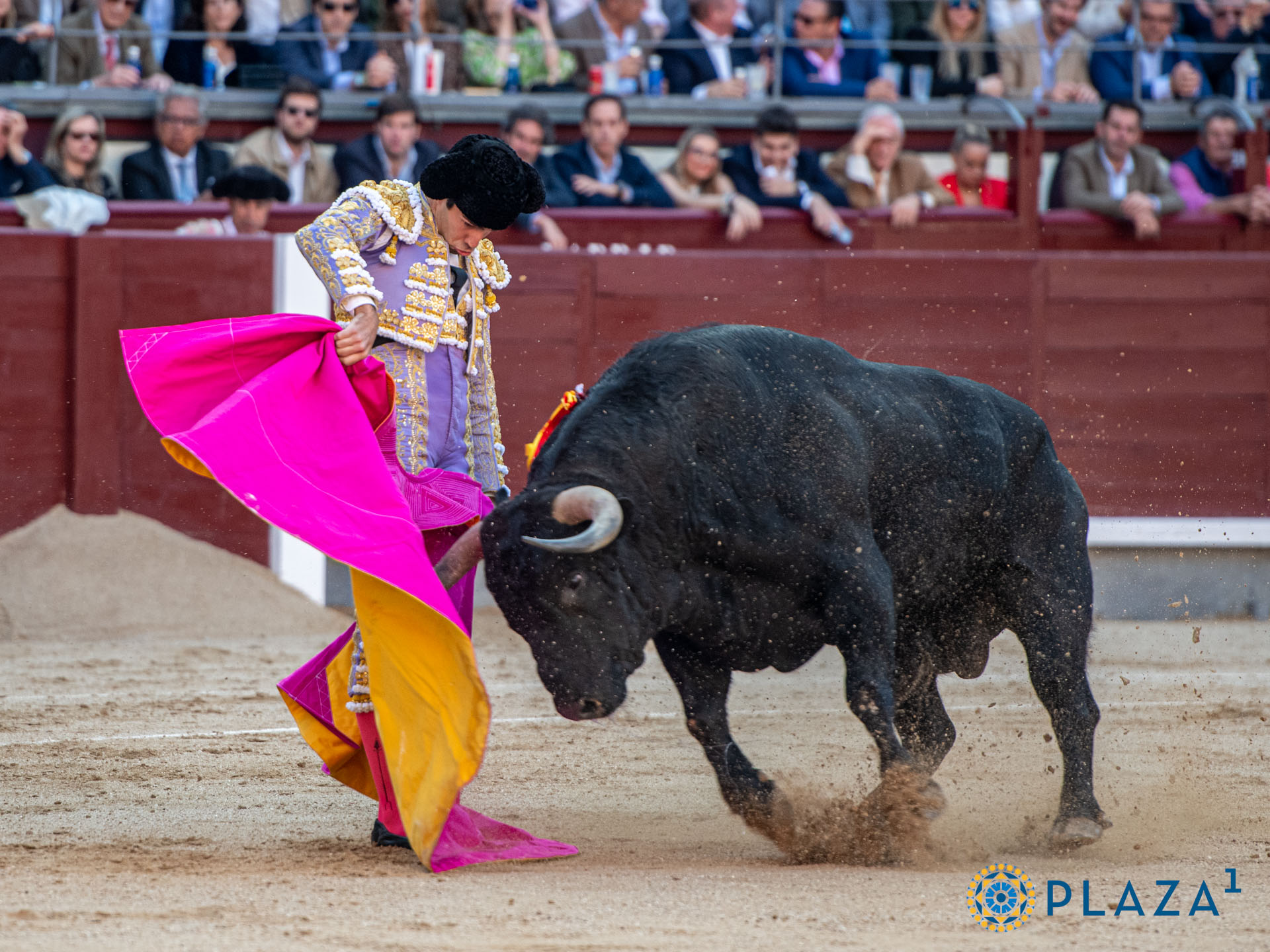 <p>Foto: Alfredo Arévalo / Plaza 1</p>