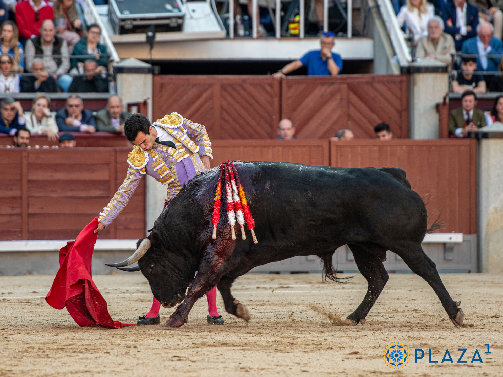 <p>Foto: Alfredo Arévalo / Plaza 1</p>