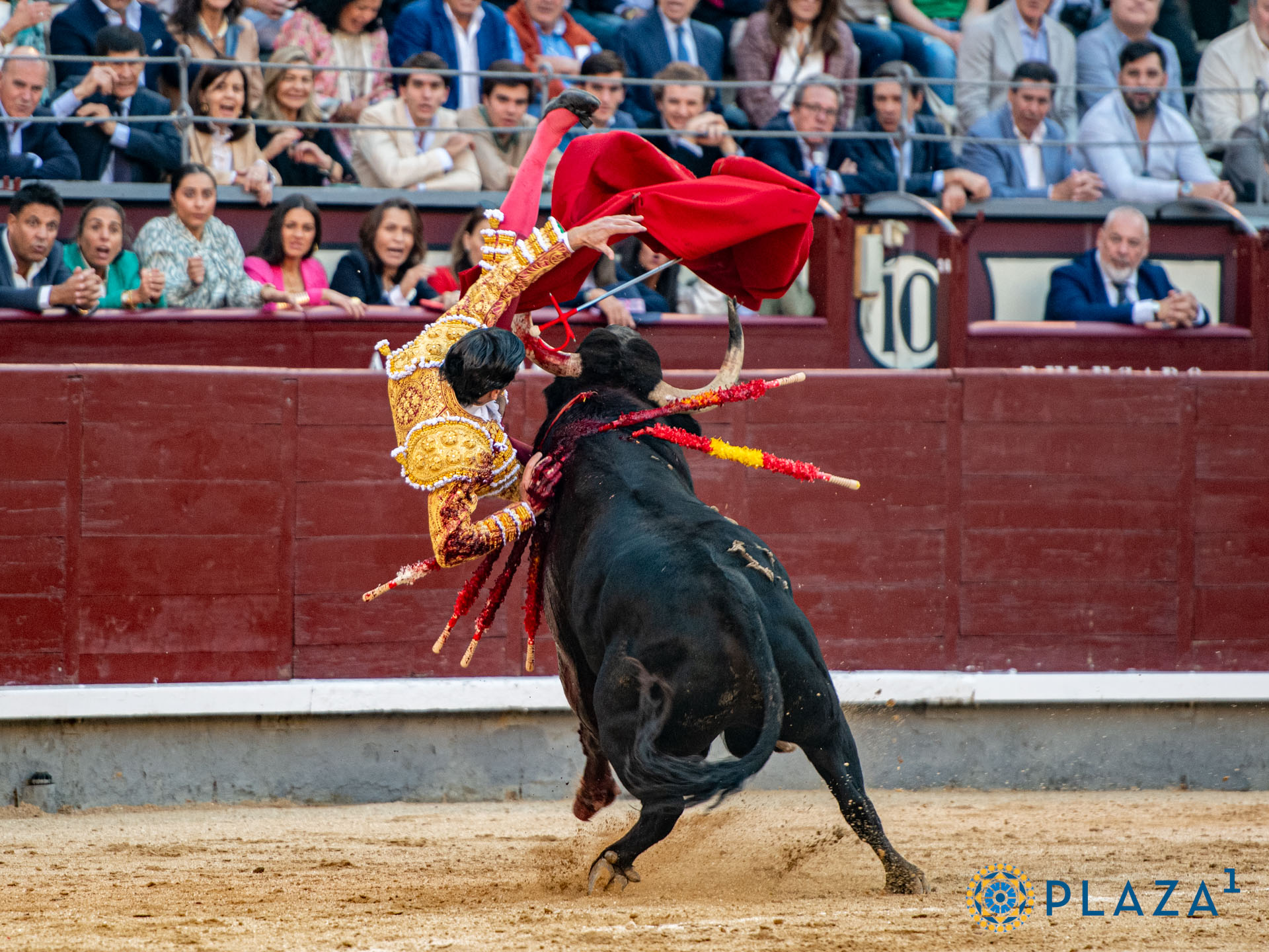 <p>Foto: Alfredo Arévalo / Plaza 1</p>