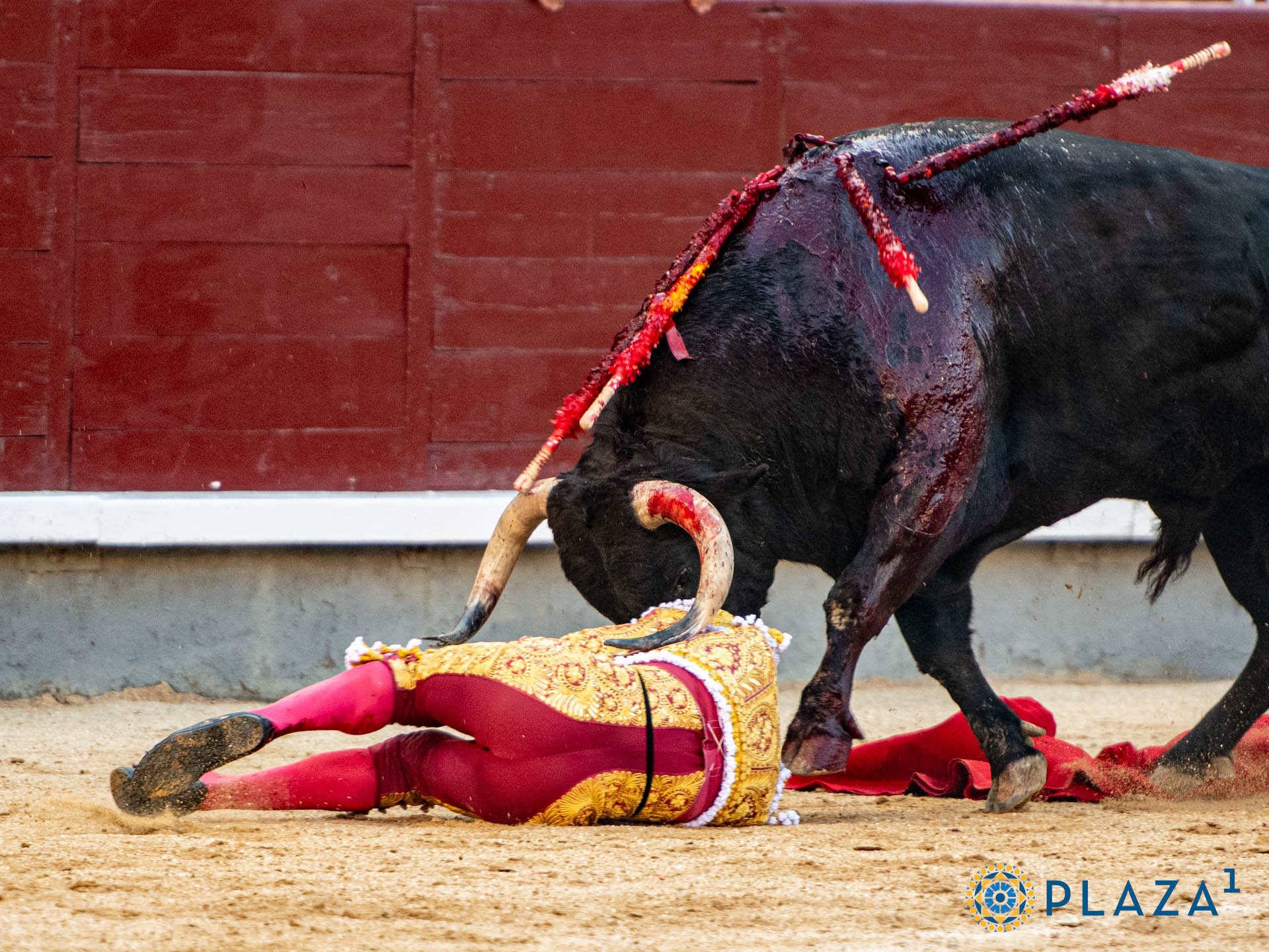 <p>Foto: Alfredo Arévalo / Plaza 1</p>