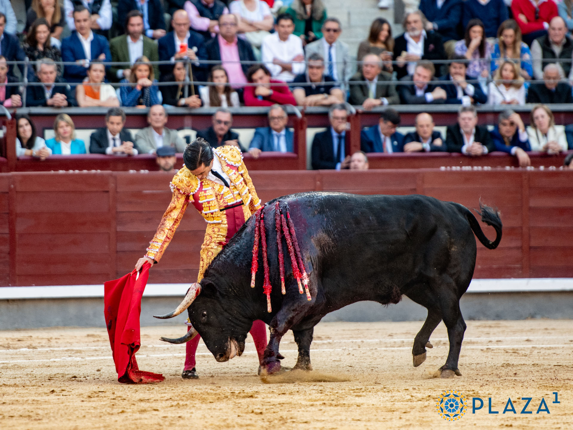 <p>Foto: Alfredo Arévalo / Plaza 1</p>