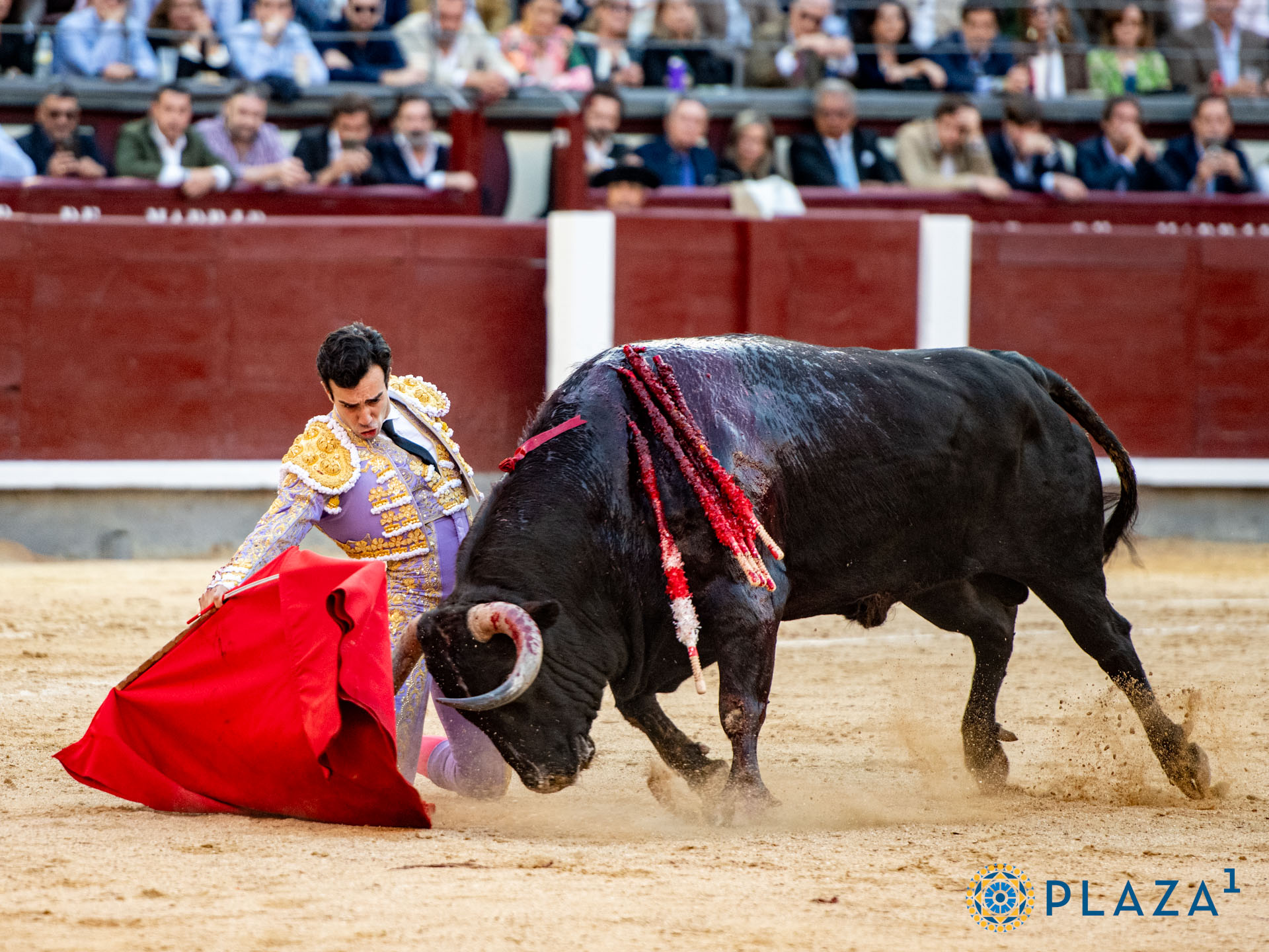 <p>Foto: Alfredo Arévalo / Plaza 1</p>