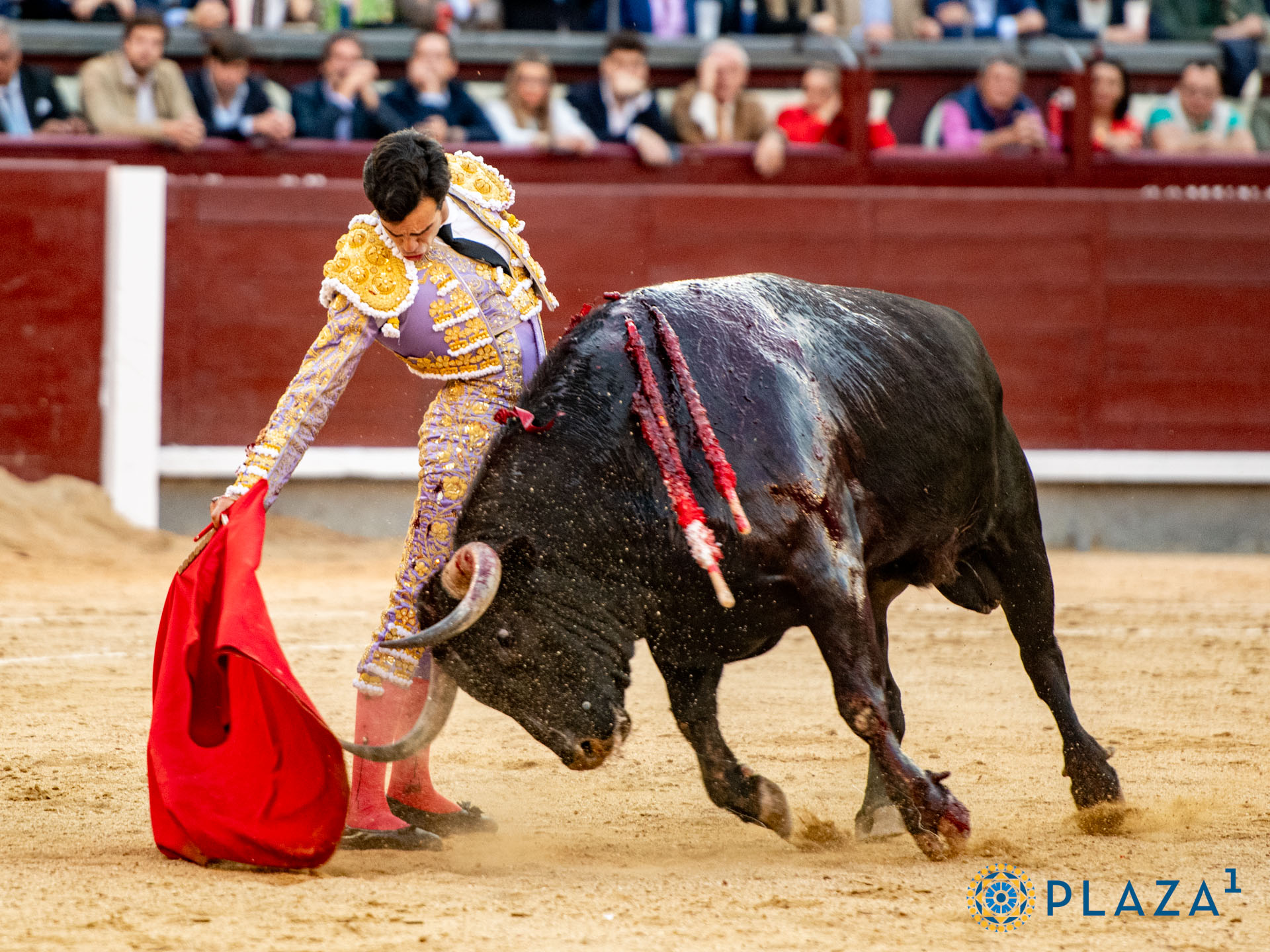 <p>Foto: Alfredo Arévalo / Plaza 1</p>