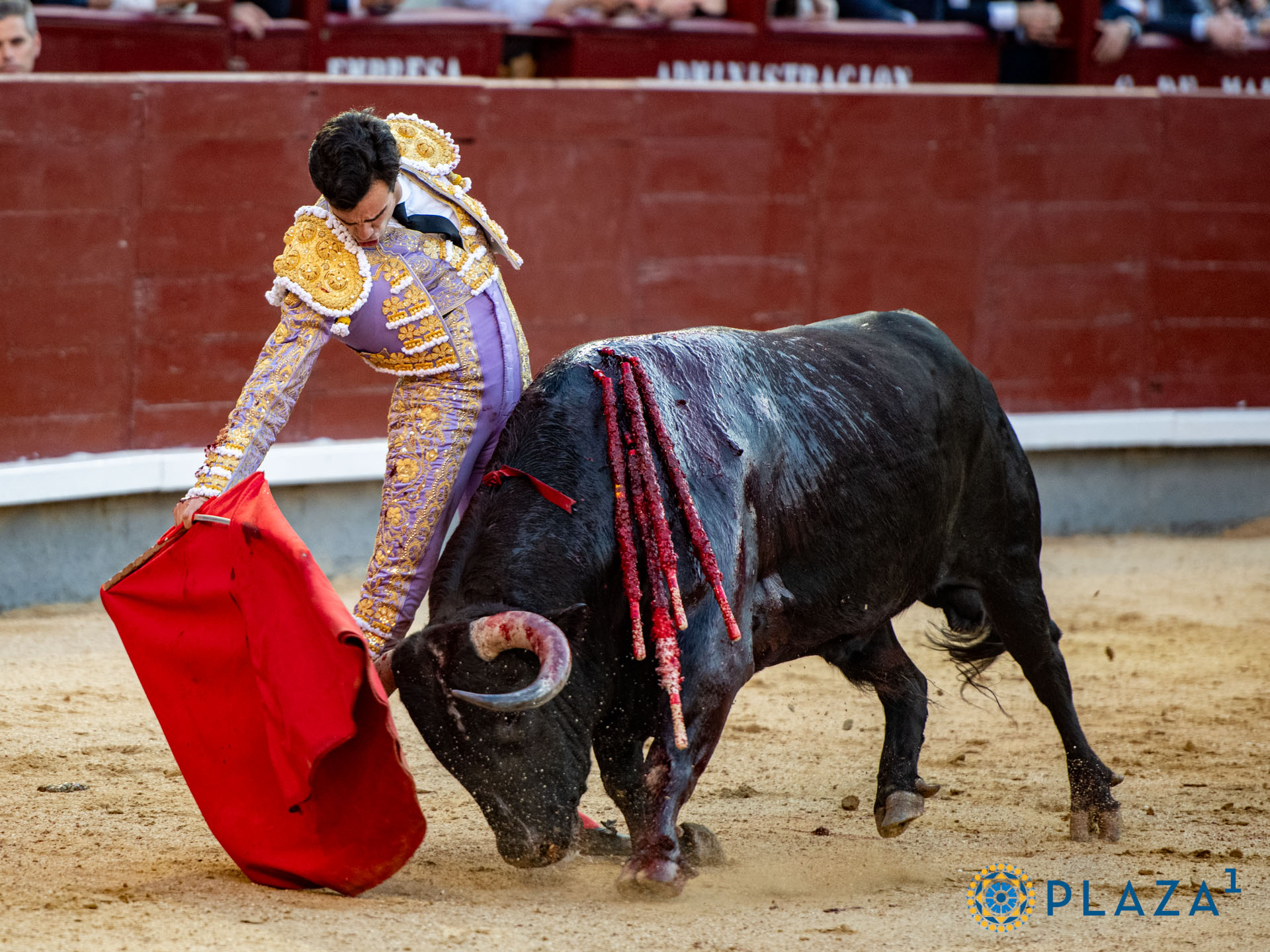 <p>Foto: Alfredo Arévalo / Plaza 1</p>