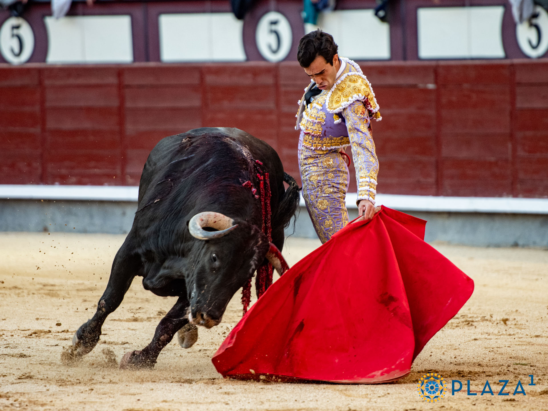 <p>Foto: Alfredo Arévalo / Plaza 1</p>