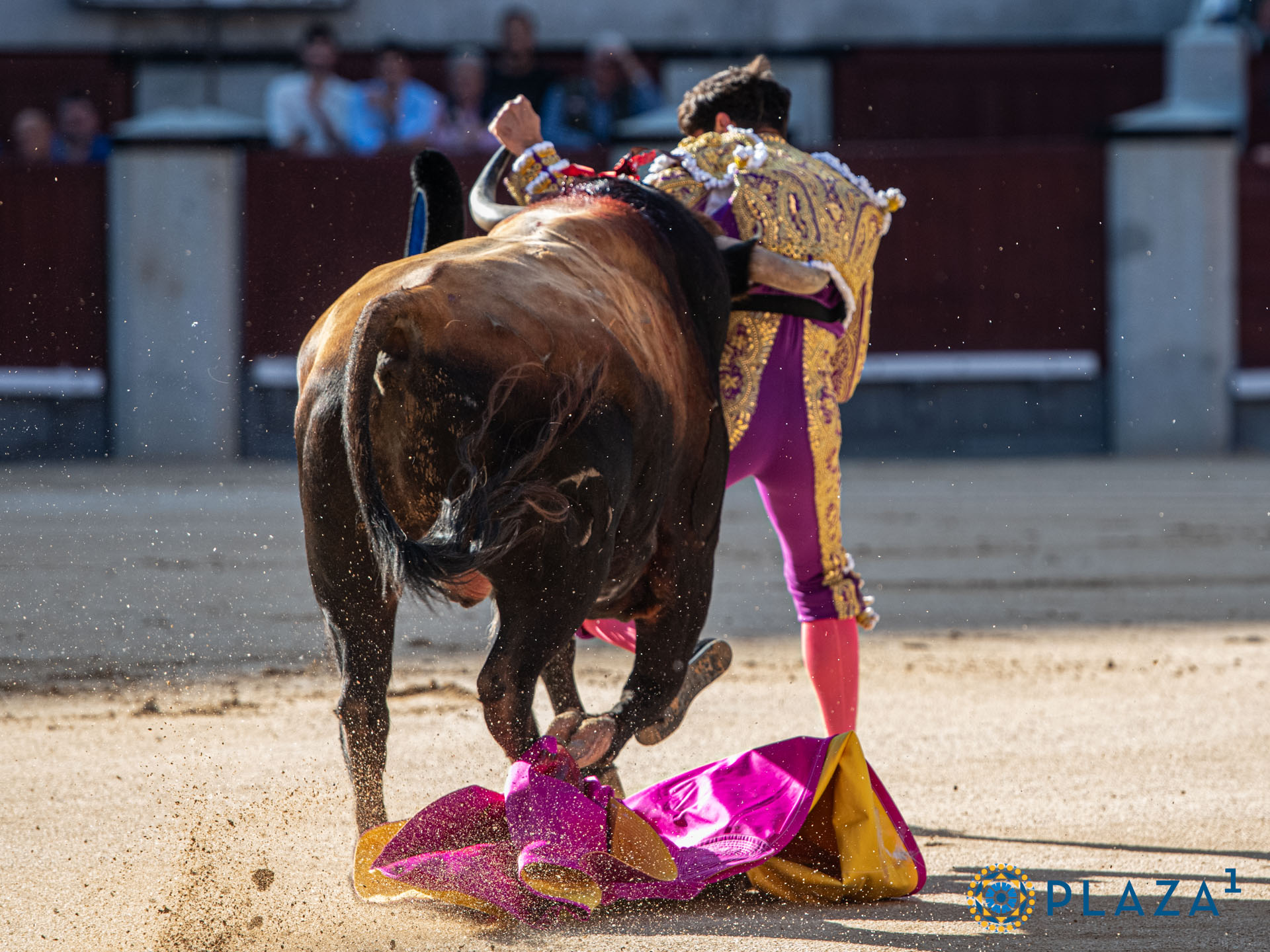 <p>Foto: Alfredo Arévalo / Plaza 1</p>