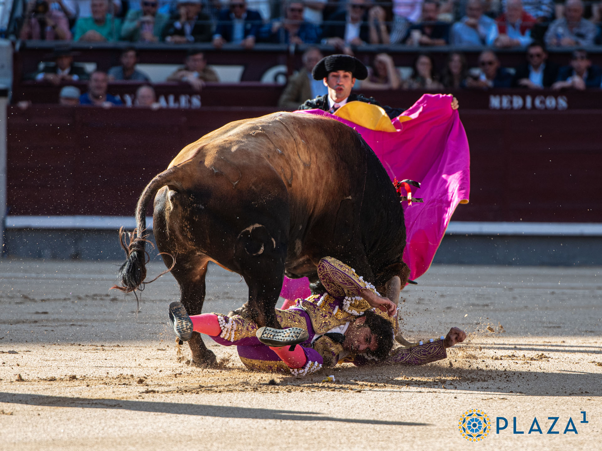 <p>Foto: Alfredo Arévalo / Plaza 1</p>