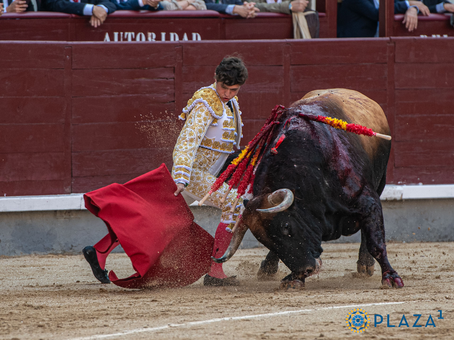 <p>Foto: Alfredo Arévalo / Plaza 1</p>