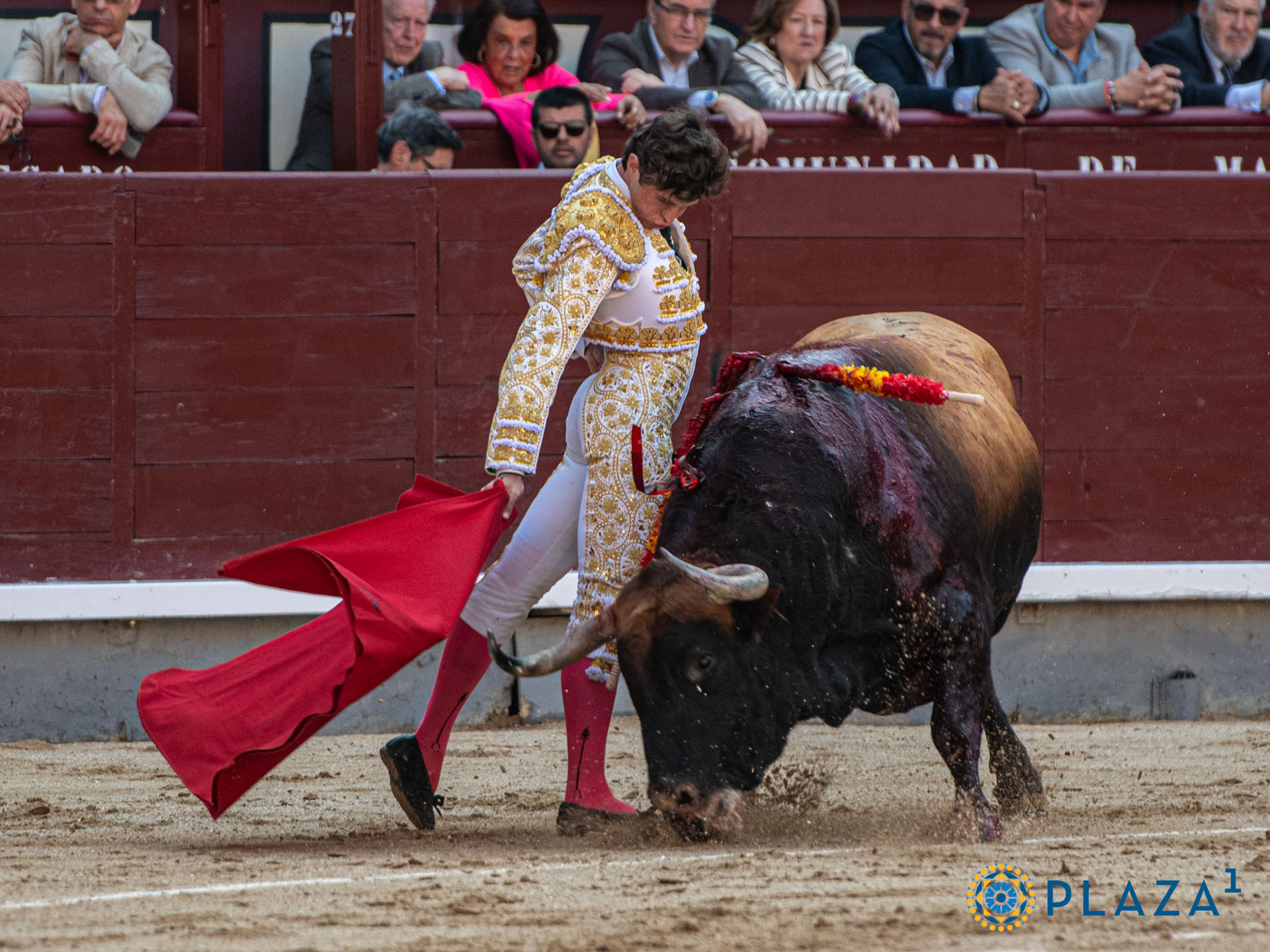 <p>Foto: Alfredo Arévalo / Plaza 1</p>