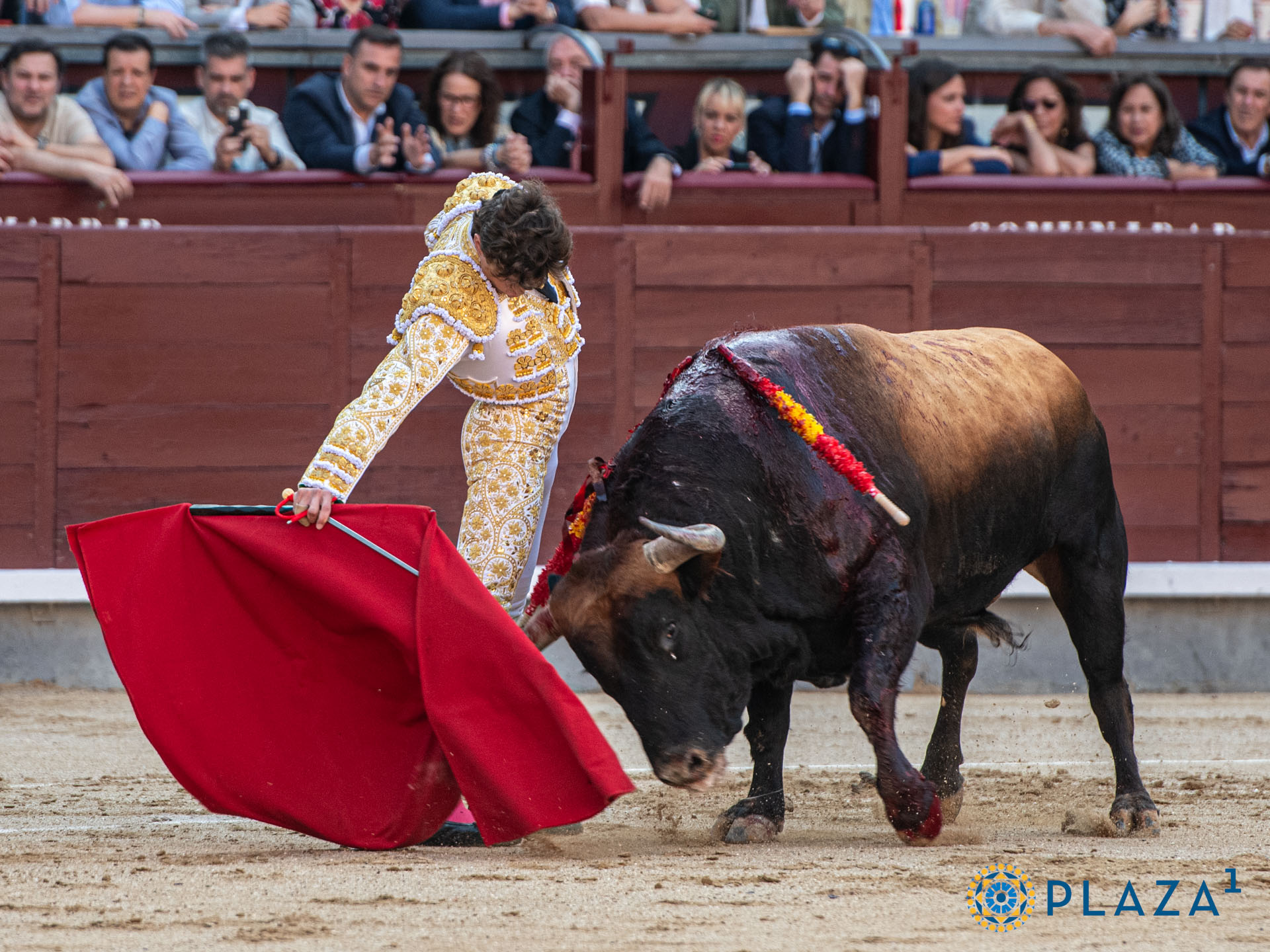 <p>Foto: Alfredo Arévalo / Plaza 1</p>
