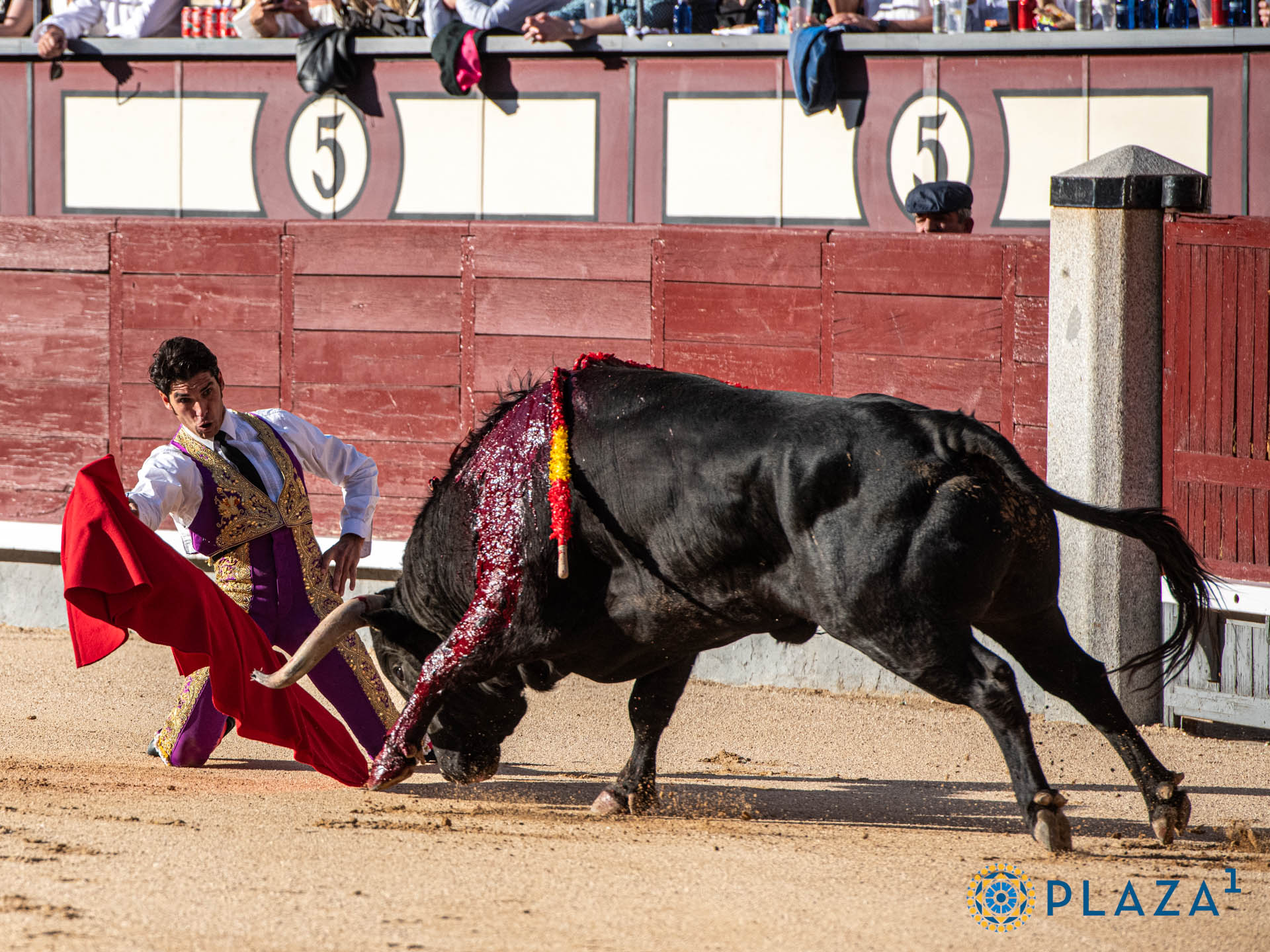 <p>Foto: Alfredo Arévalo / Plaza 1</p>
