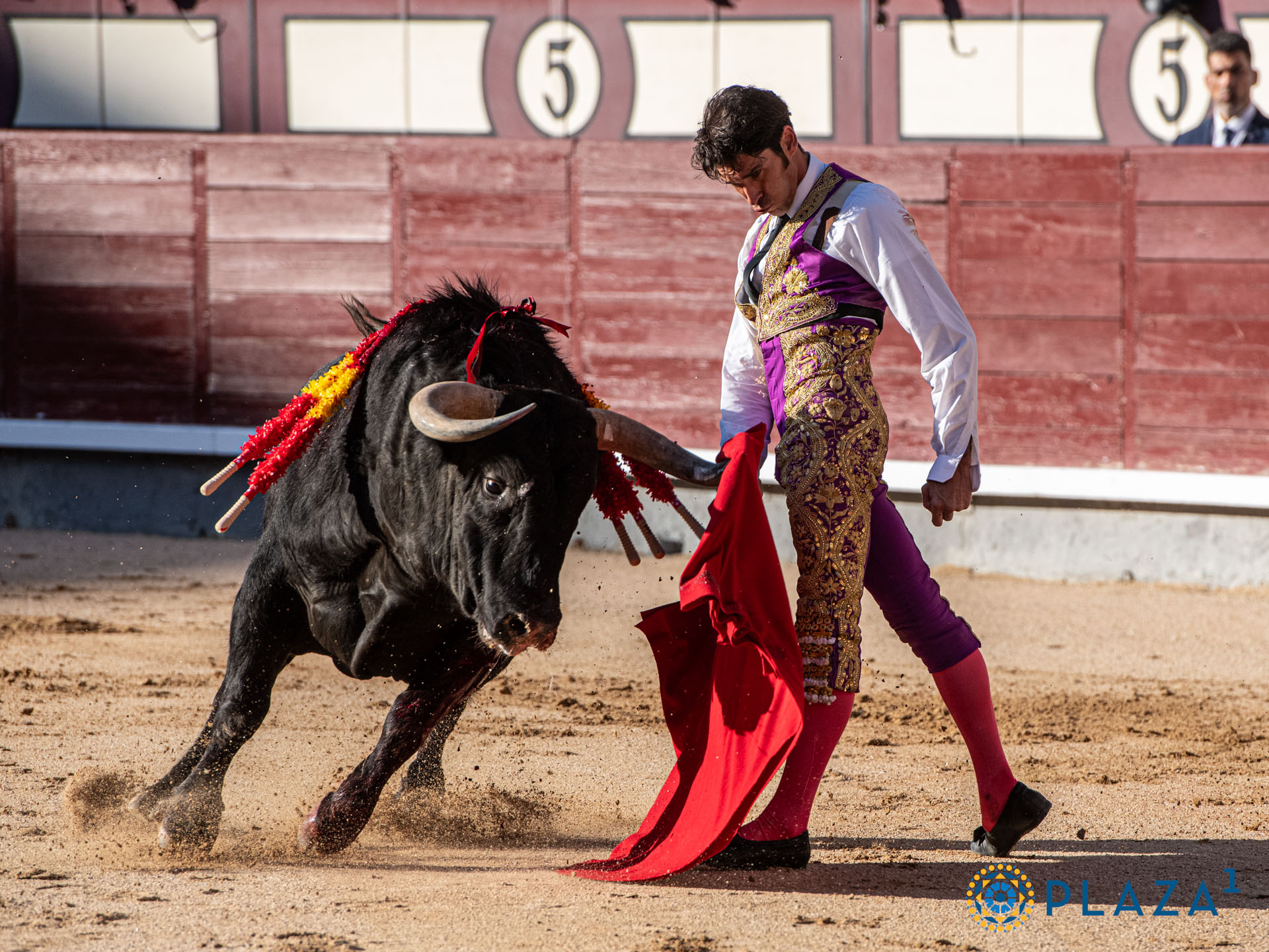 <p>Foto: Alfredo Arévalo / Plaza 1</p>
