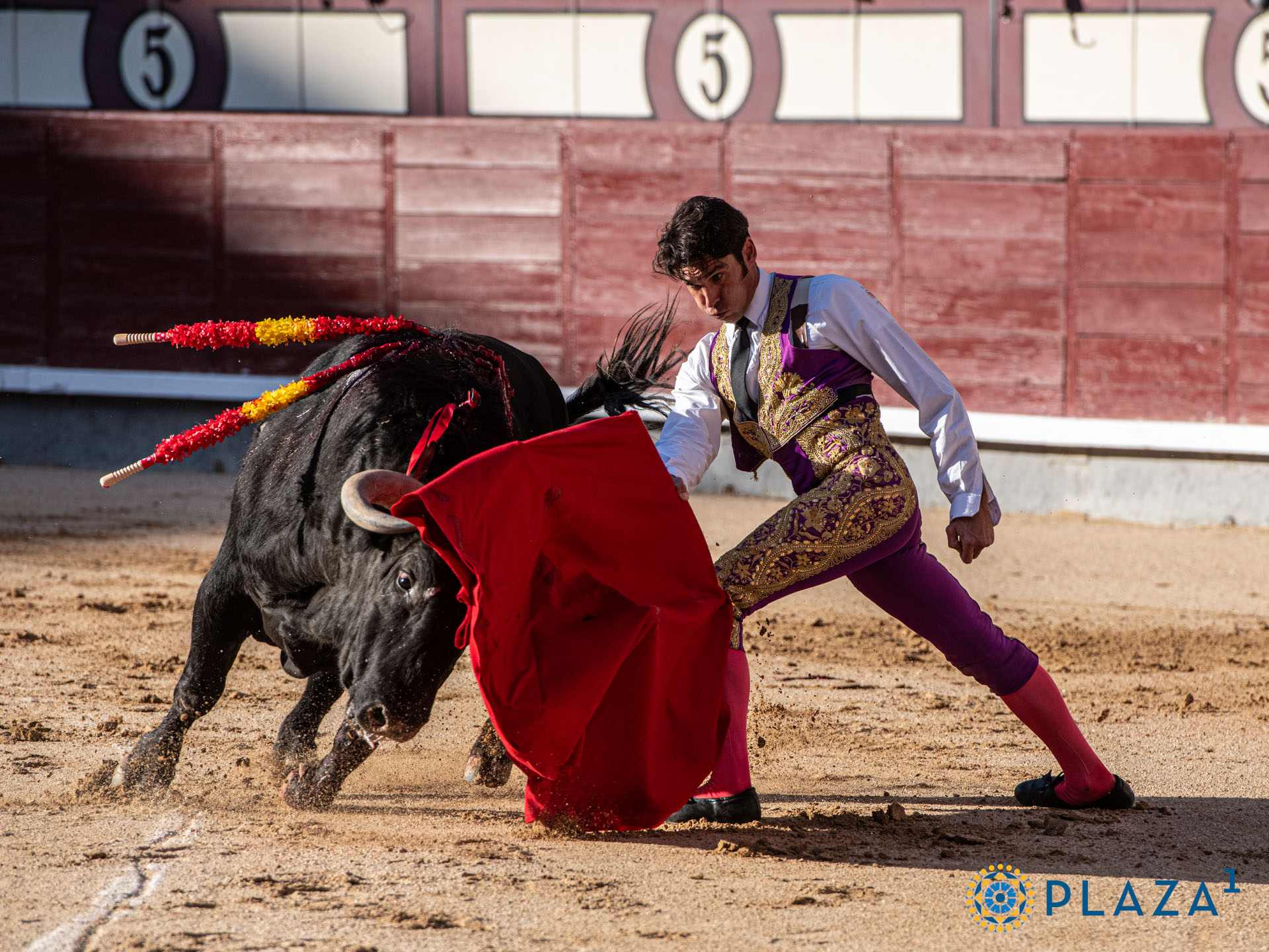 <p>Foto: Alfredo Arévalo / Plaza 1</p>