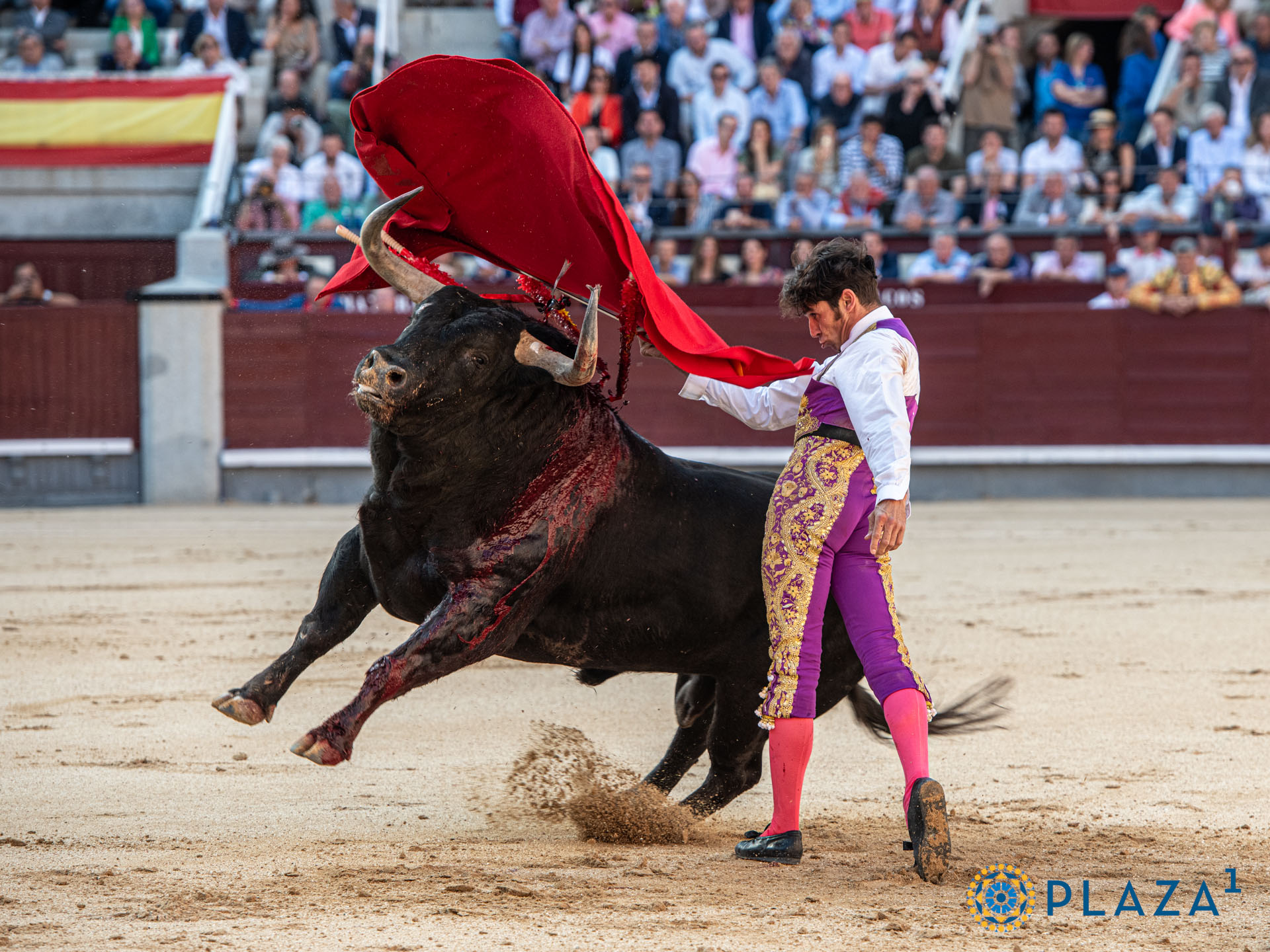 <p>Foto: Alfredo Arévalo / Plaza 1</p>