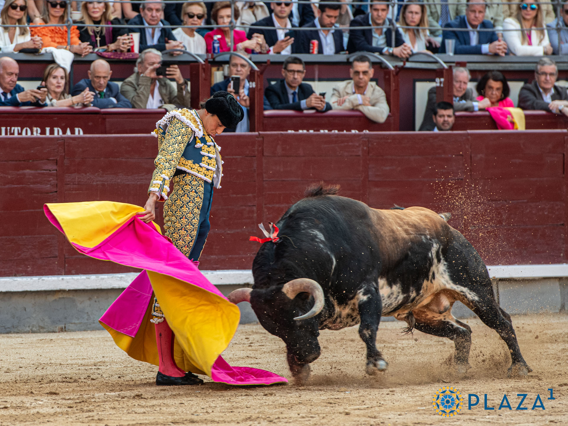 <p>Foto: Alfredo Arévalo / Plaza 1</p>
