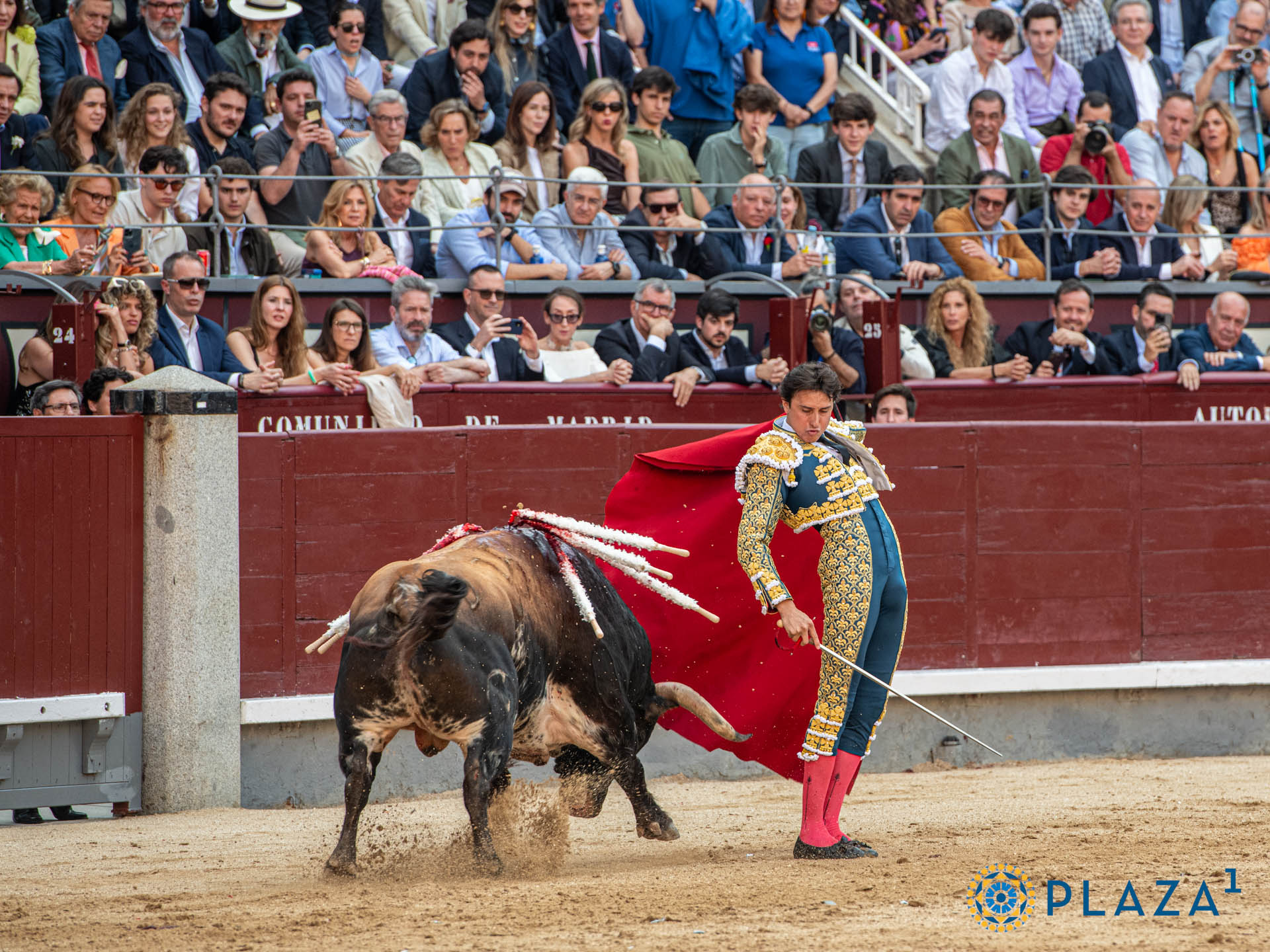 <p>Foto: Alfredo Arévalo / Plaza 1</p>