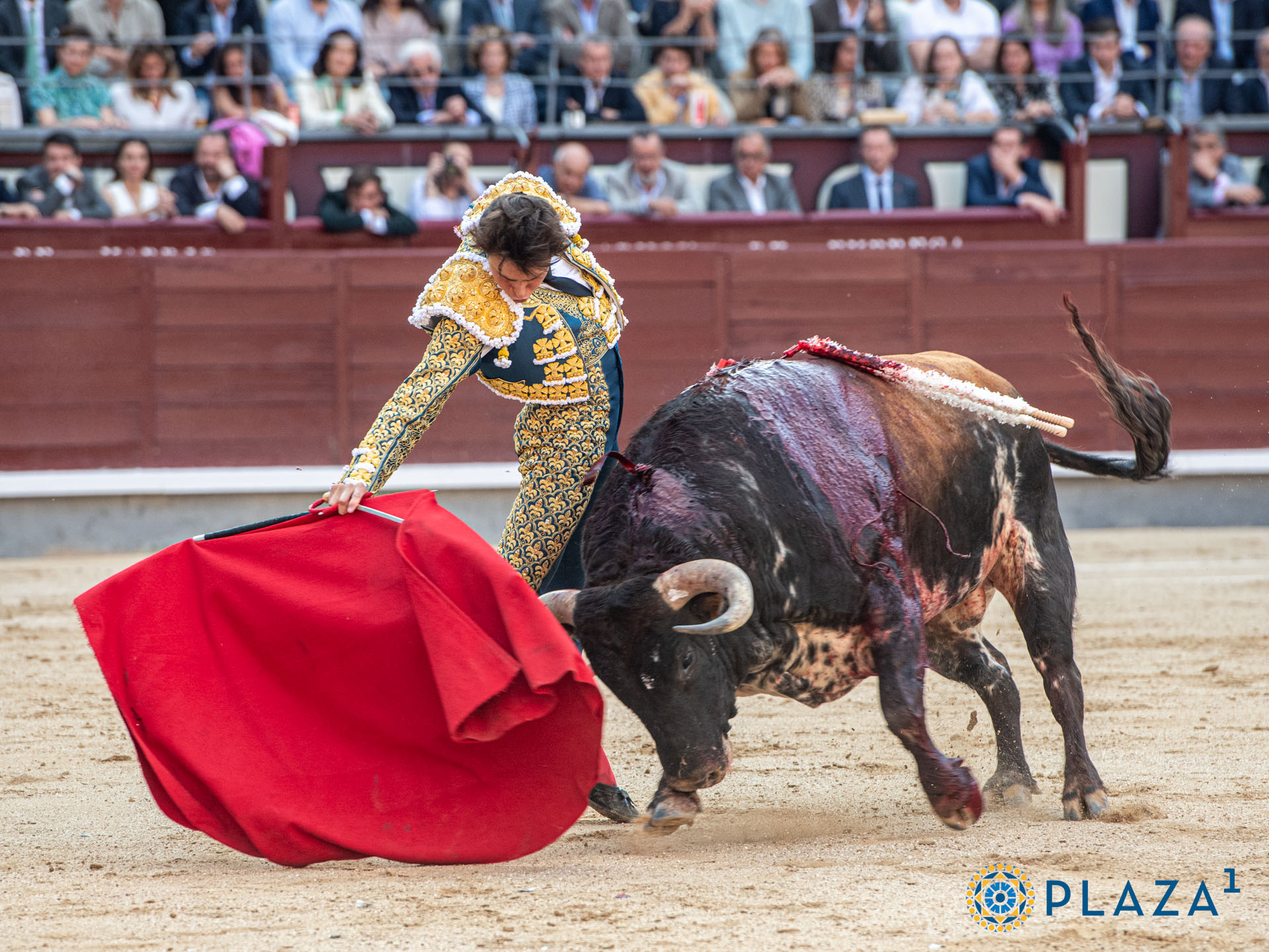 <p>Foto: Alfredo Arévalo / Plaza 1</p>