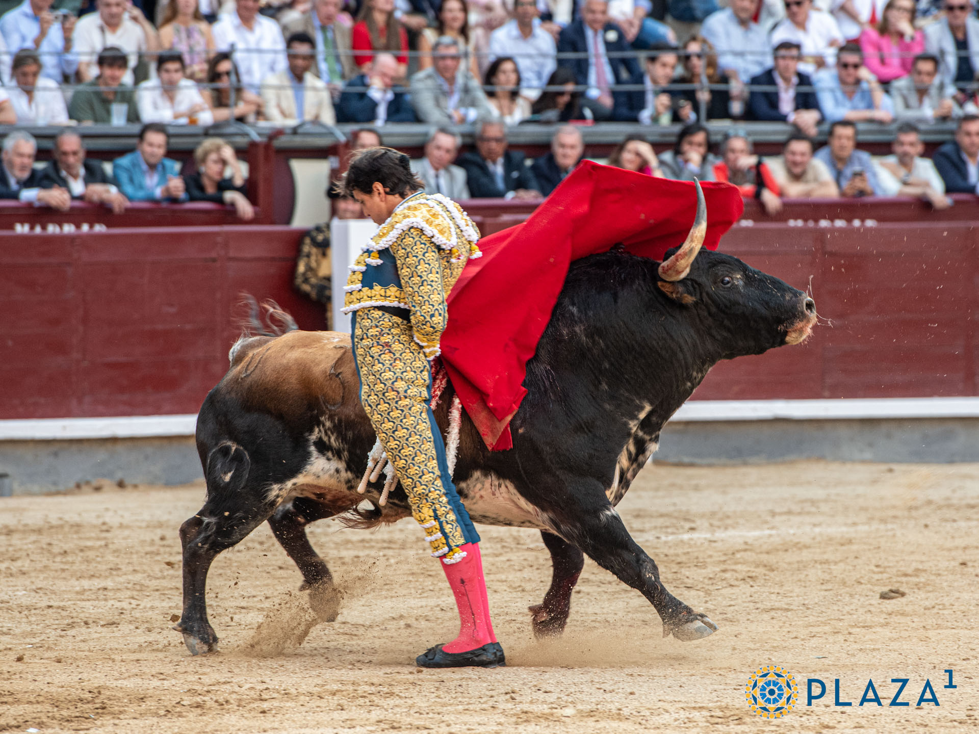 <p>Foto: Alfredo Arévalo / Plaza 1</p>