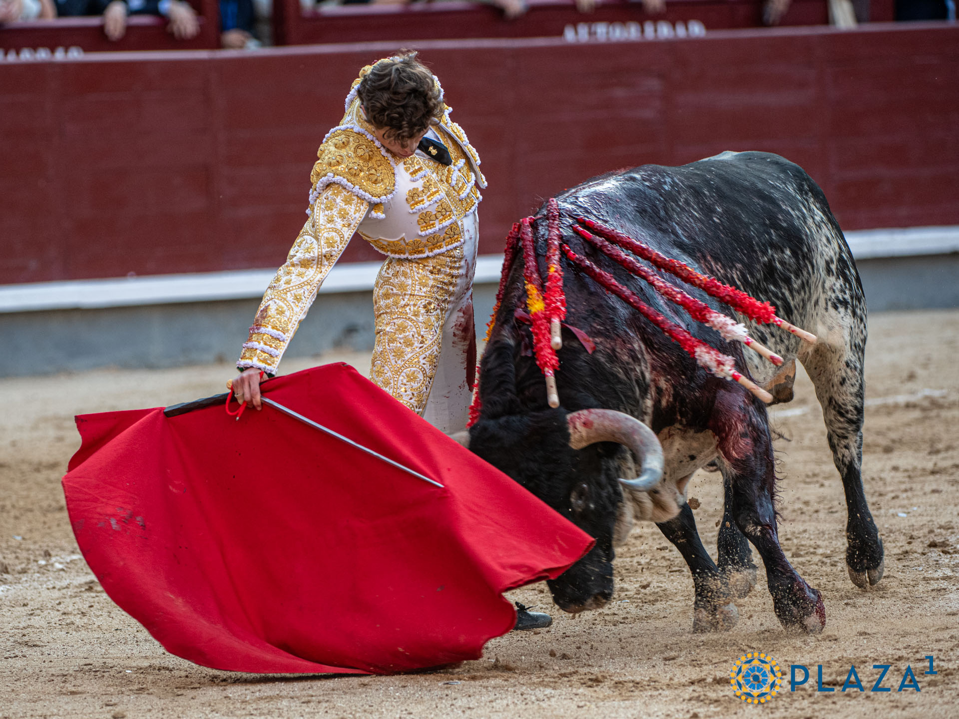 <p>Foto: Alfredo Arévalo / Plaza 1</p>