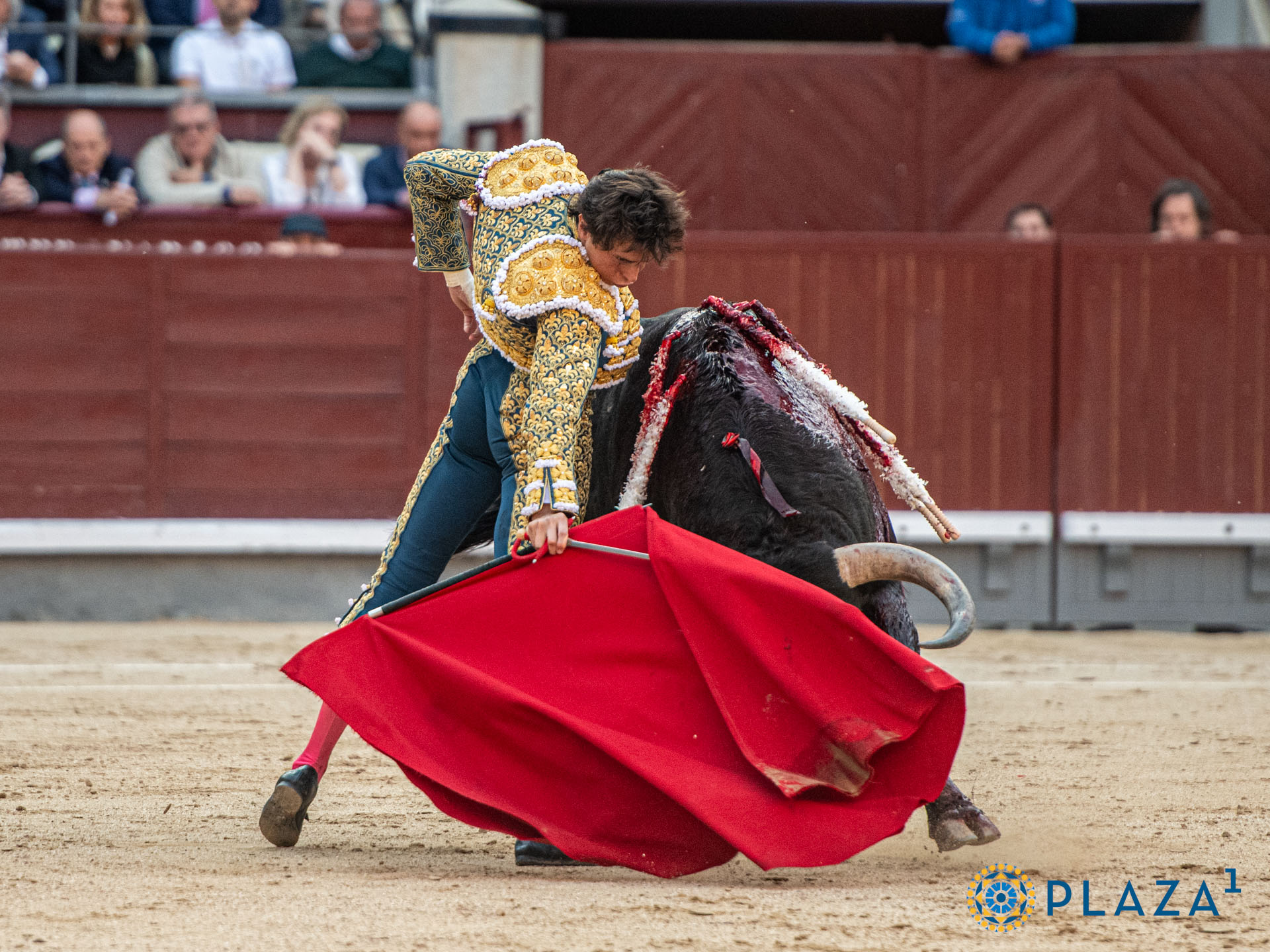 <p>Foto: Alfredo Arévalo / Plaza 1</p>