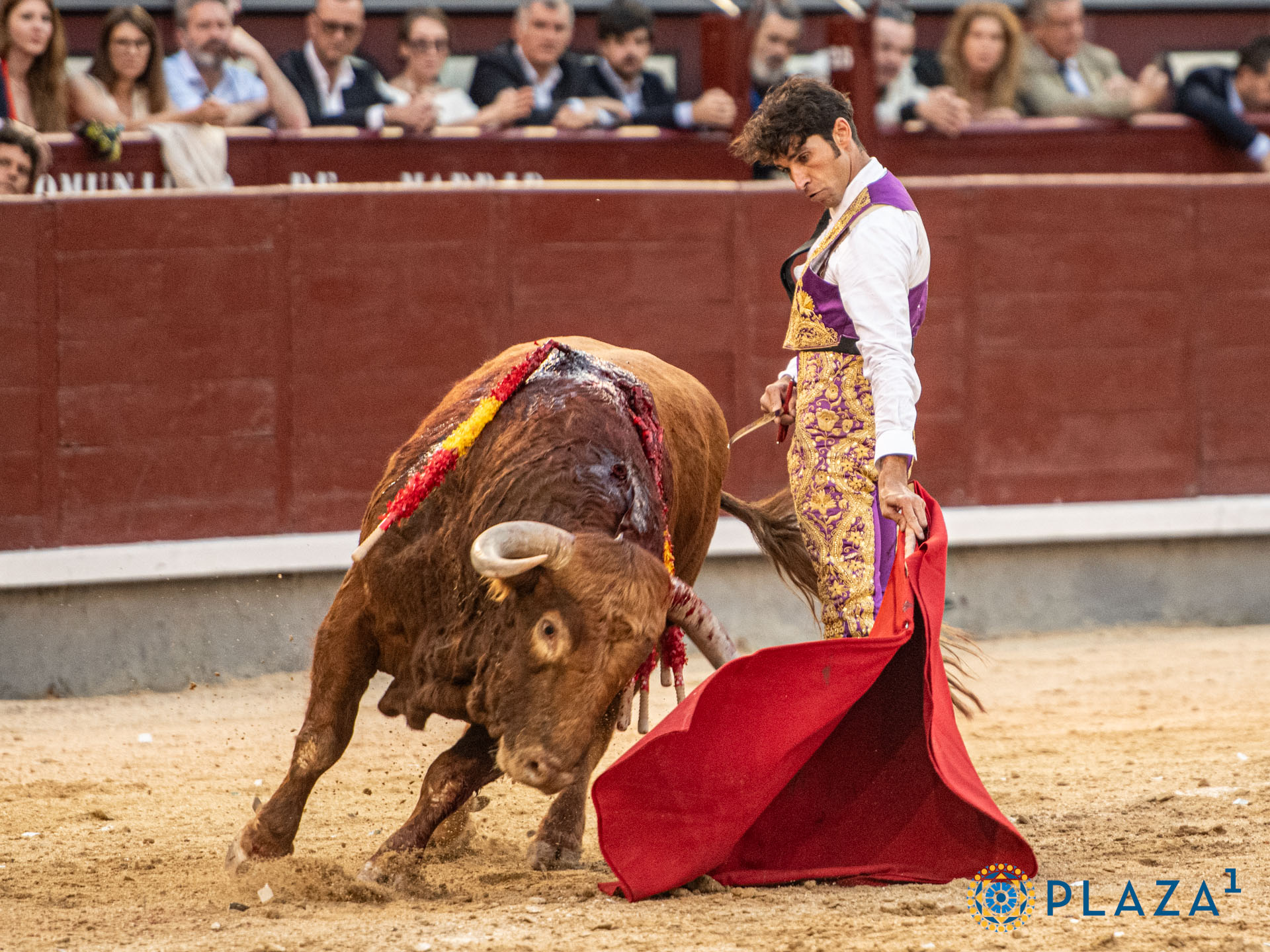 <p>Foto: Alfredo Arévalo / Plaza 1</p>