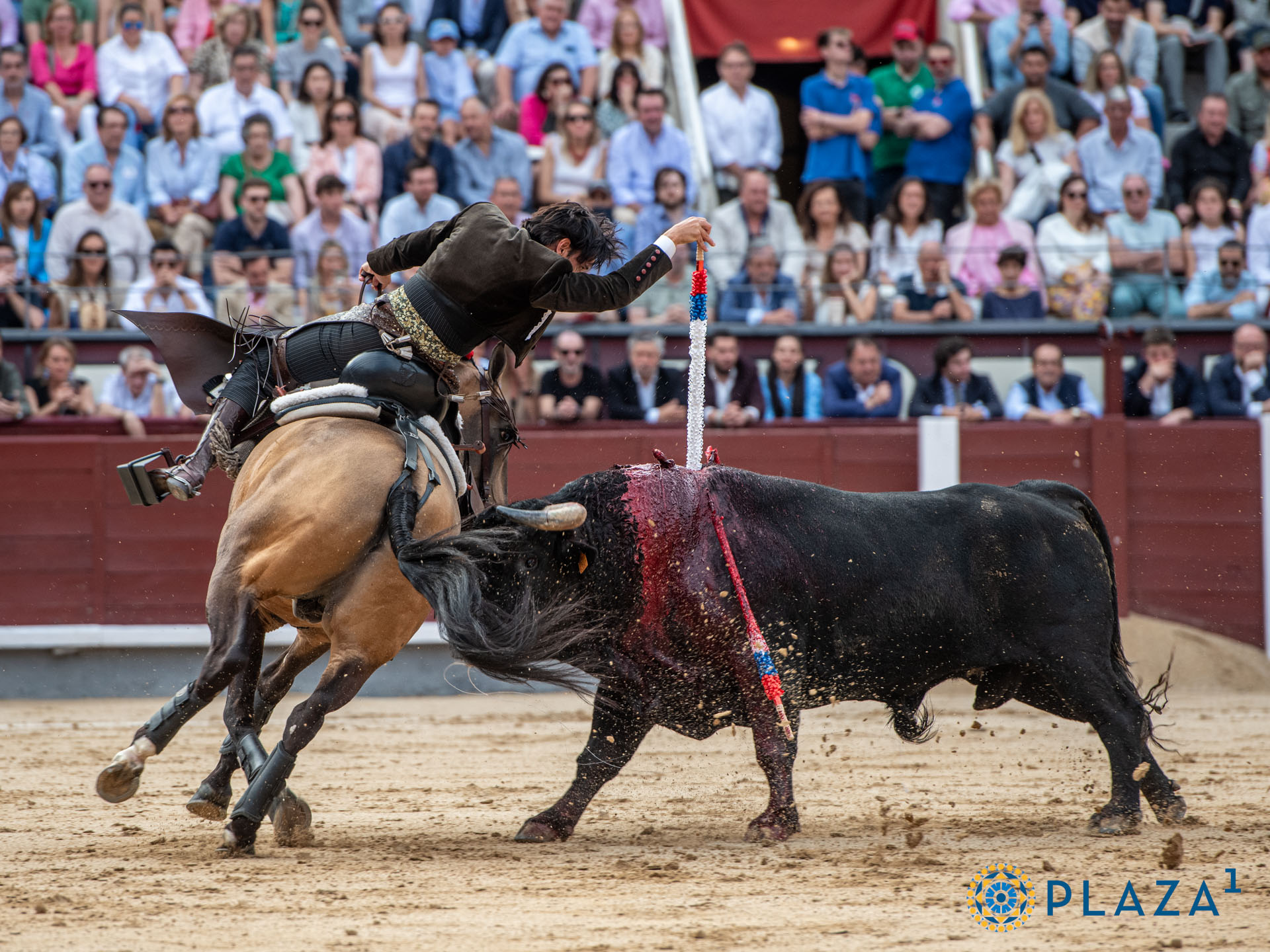 <p>Foto: Alfredo Arévalo / Plaza 1</p>