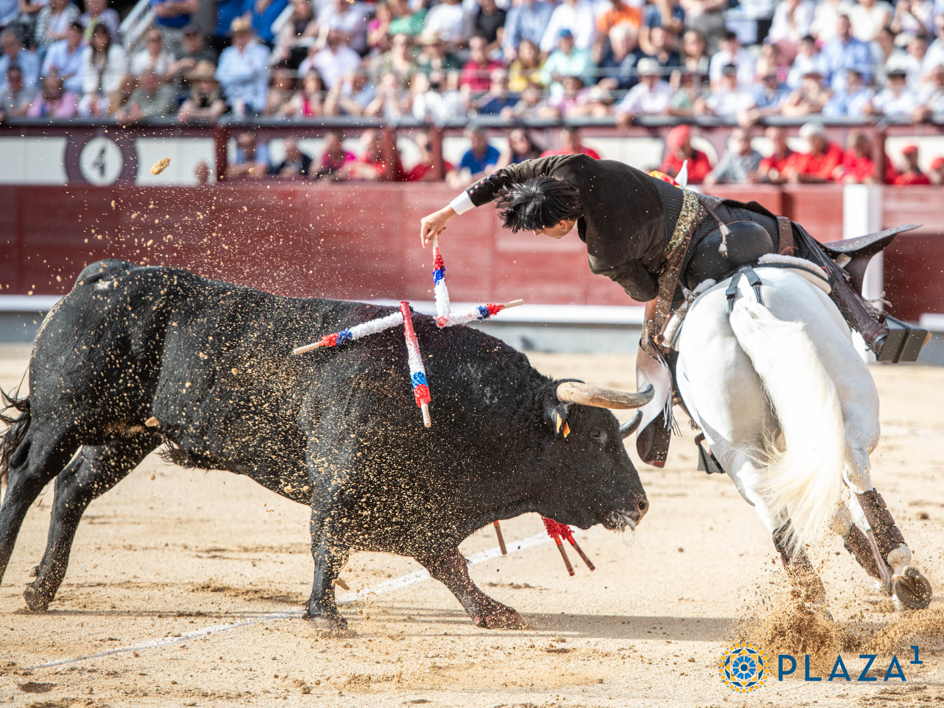 <p>Foto: Alfredo Arévalo / Plaza 1</p>