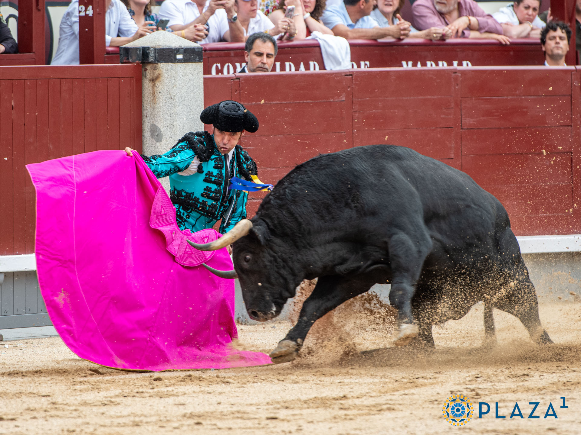<p>Foto: Alfredo Arévalo / Plaza 1</p>