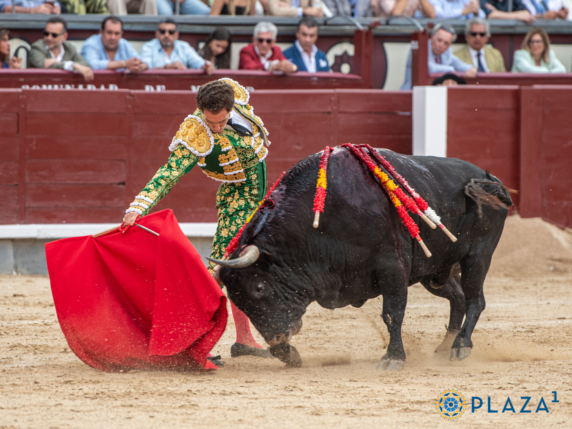<p>Foto: Alfredo Arévalo / Plaza 1</p>