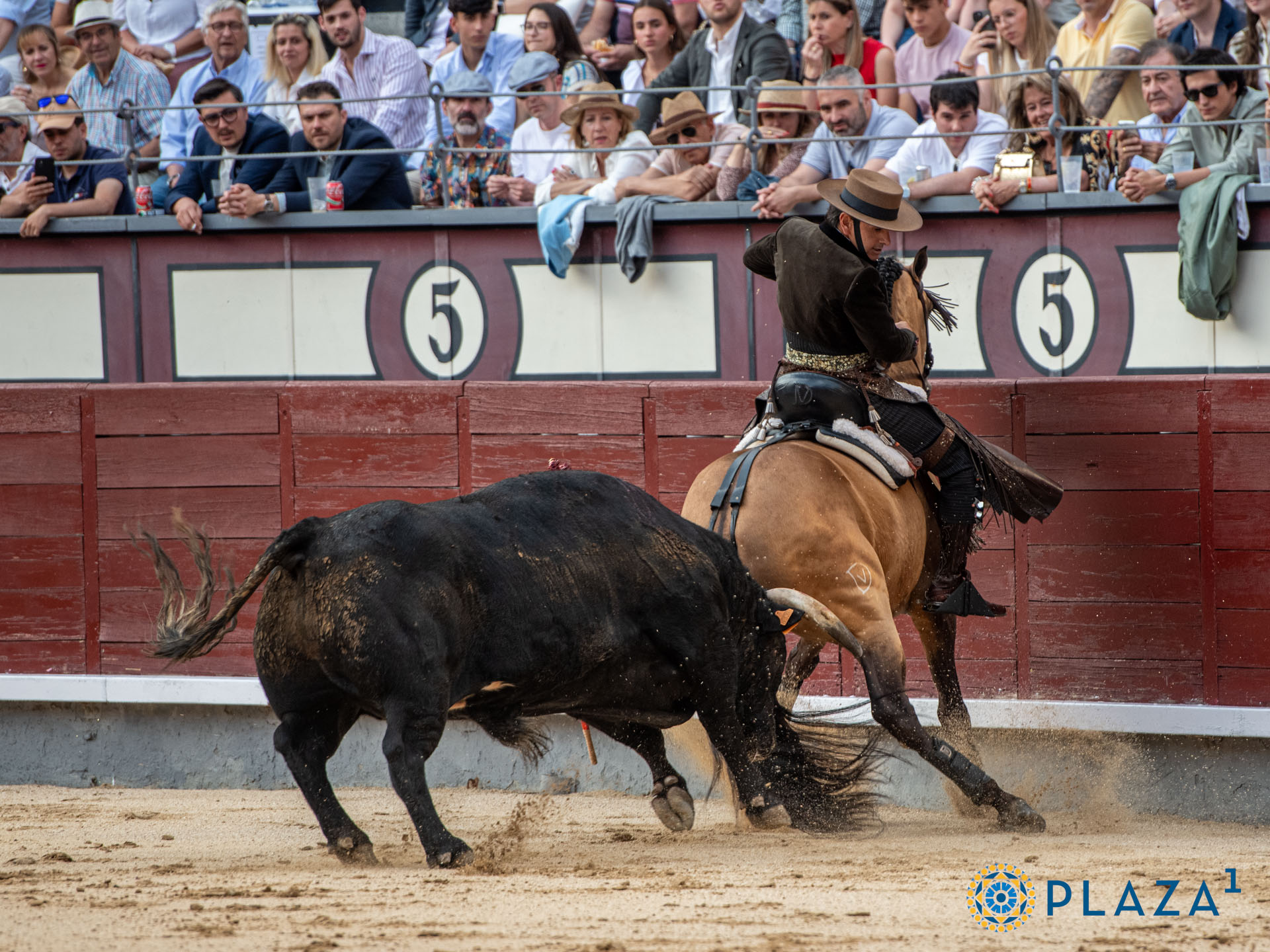 <p>Foto: Alfredo Arévalo / Plaza 1</p>