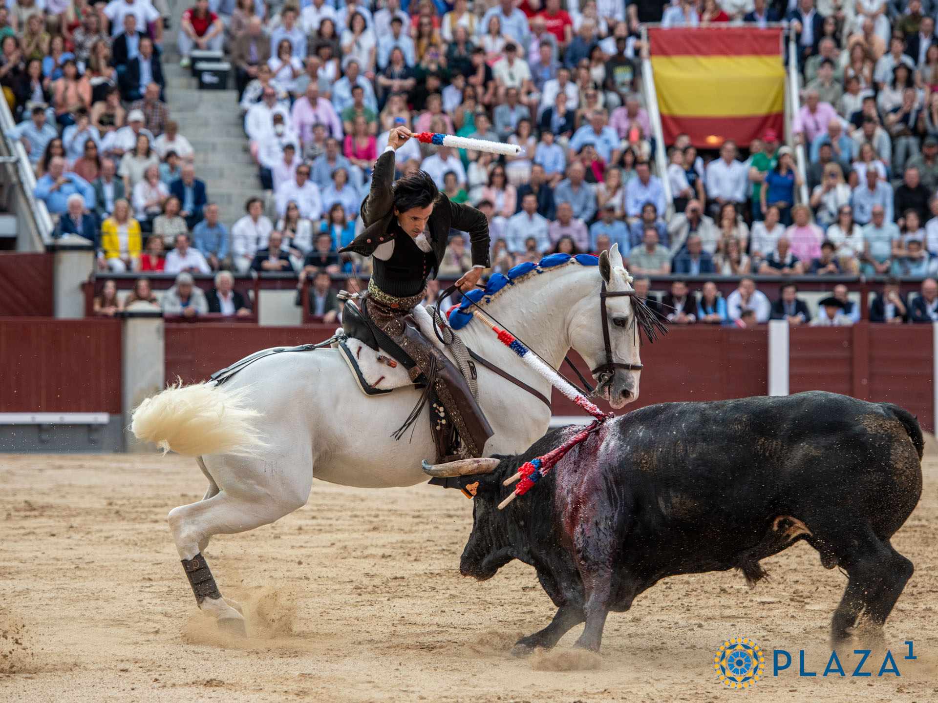 <p>Foto: Alfredo Arévalo / Plaza 1</p>