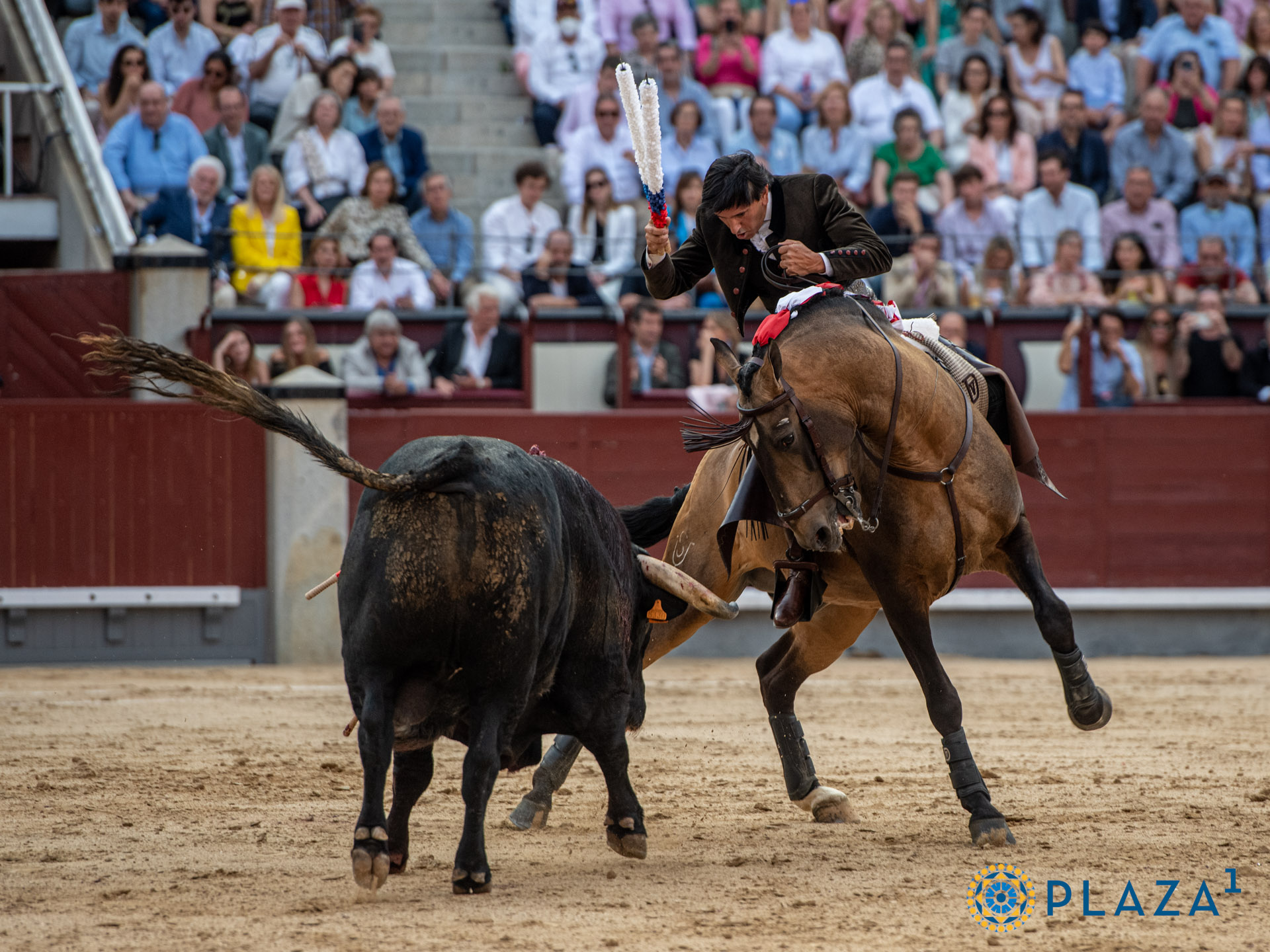<p>Foto: Alfredo Arévalo / Plaza 1</p>