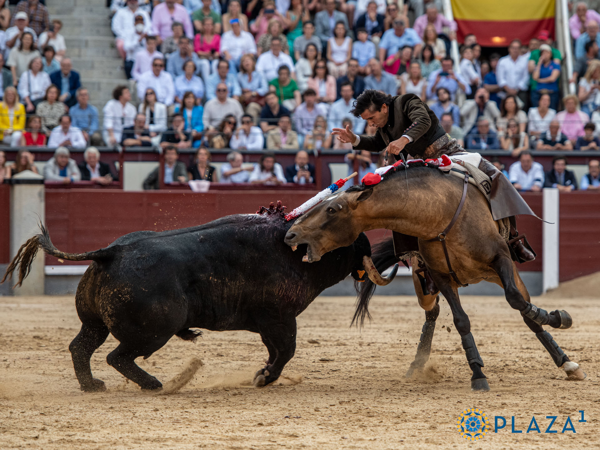 <p>Foto: Alfredo Arévalo / Plaza 1</p>