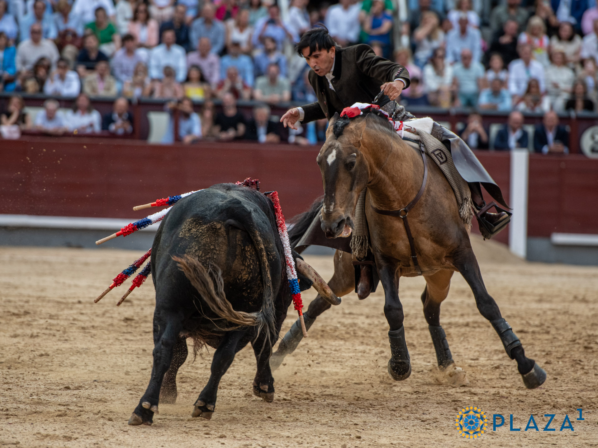 <p>Foto: Alfredo Arévalo / Plaza 1</p>