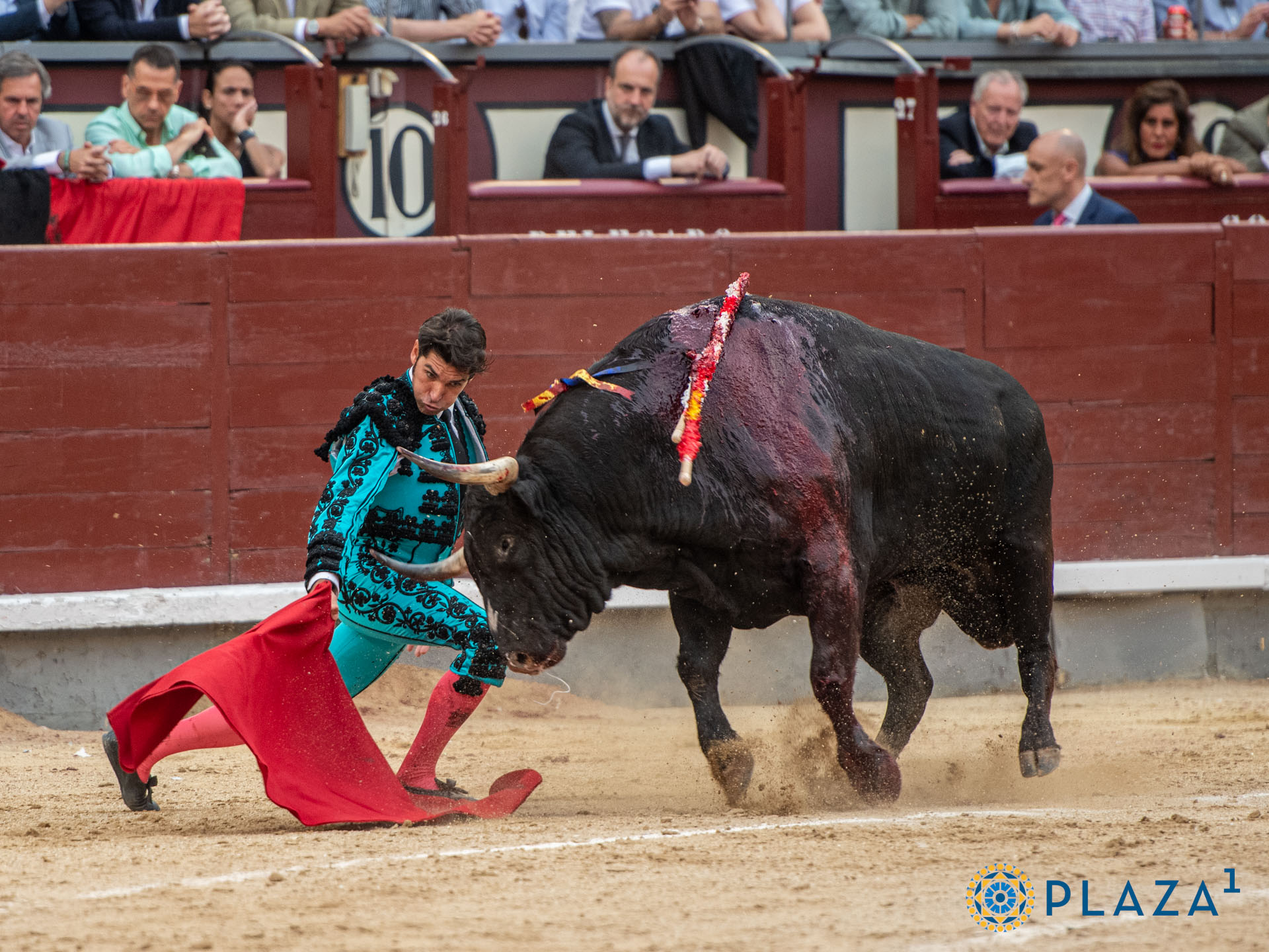 <p>Foto: Alfredo Arévalo / Plaza 1</p>