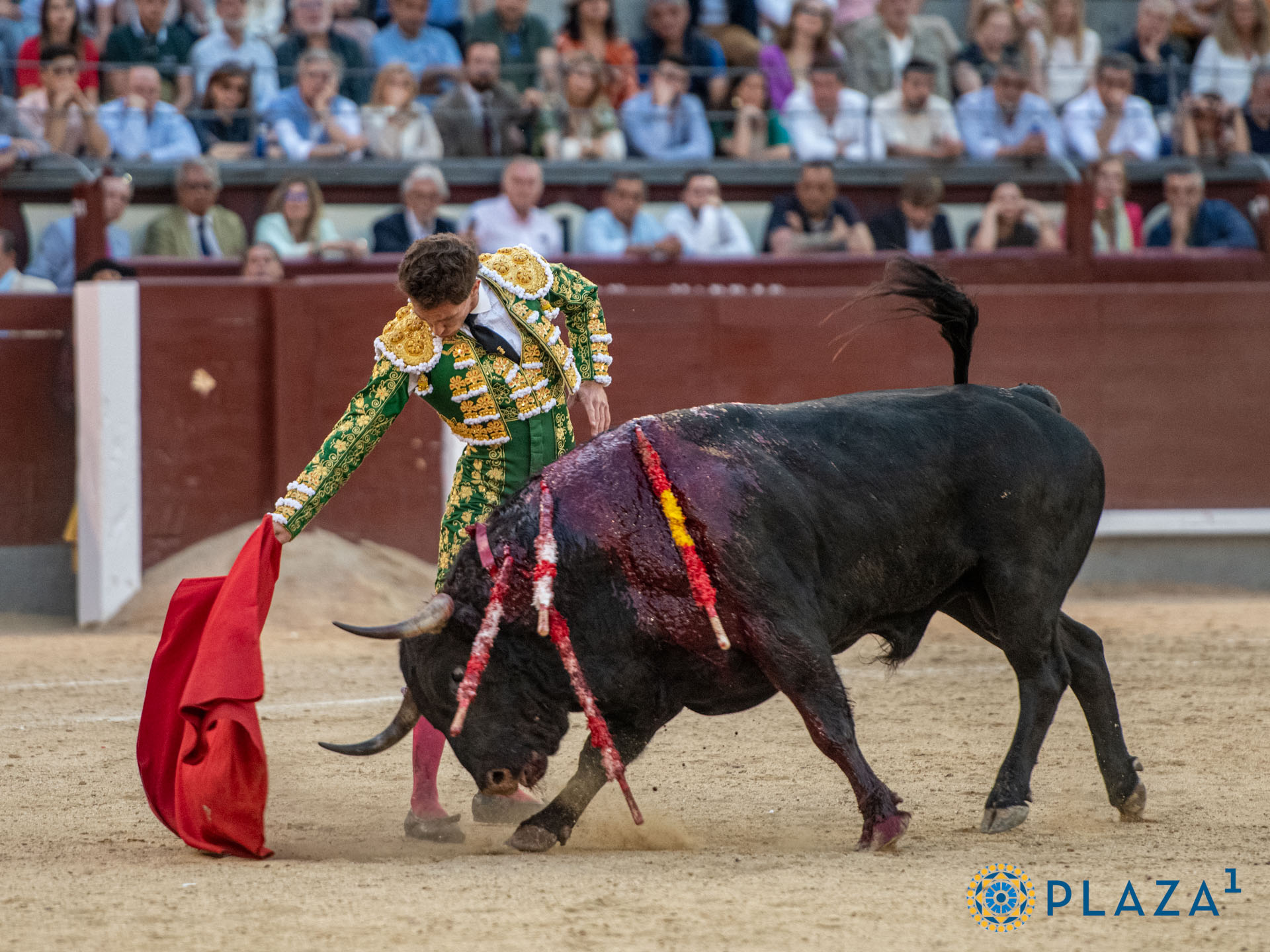 <p>Foto: Alfredo Arévalo / Plaza 1</p>