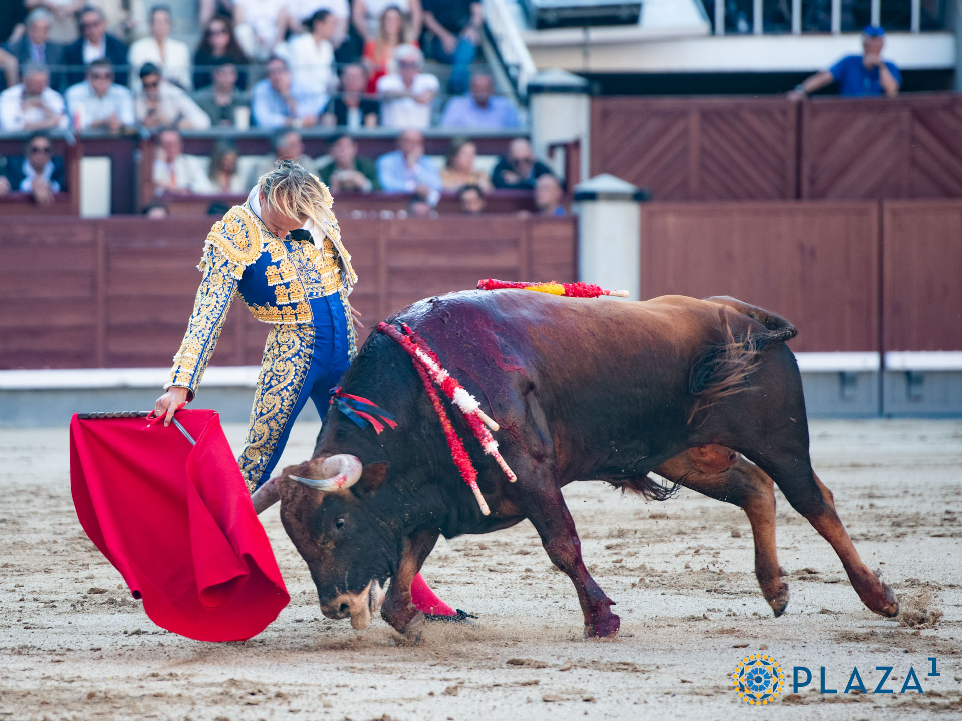 <p>Foto: Alfredo Arévalo / Plaza 1</p>