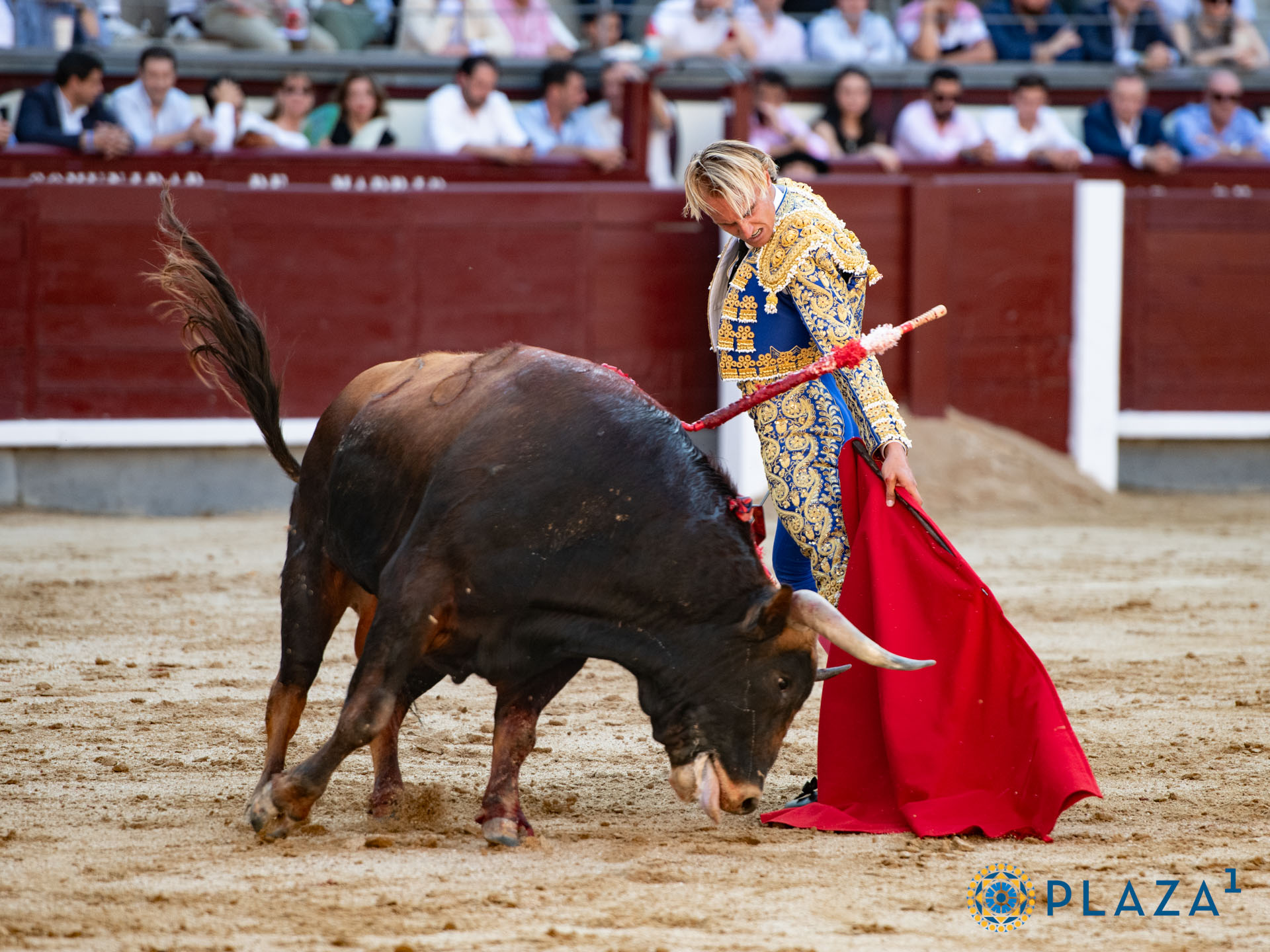 <p>Foto: Alfredo Arévalo / Plaza 1</p>