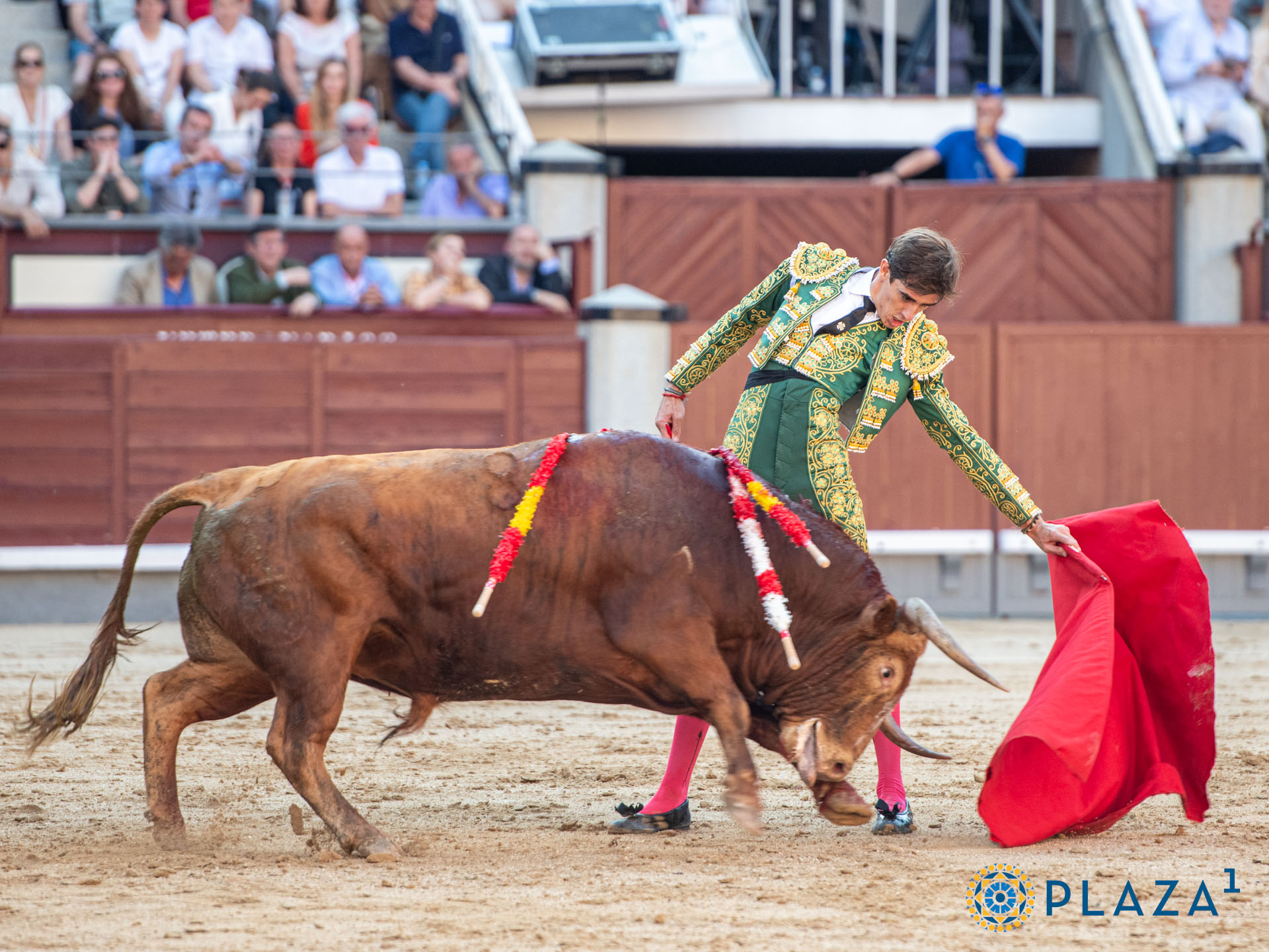 <p>Foto: Alfredo Arévalo / Plaza 1</p>