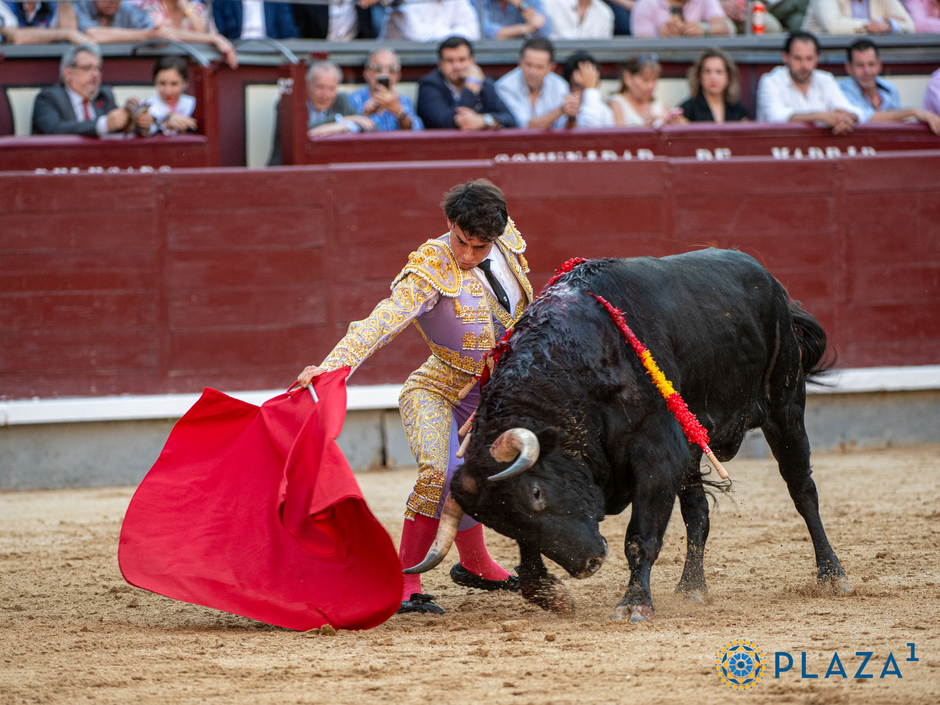 <p>Foto: Alfredo Arévalo / Plaza 1</p>