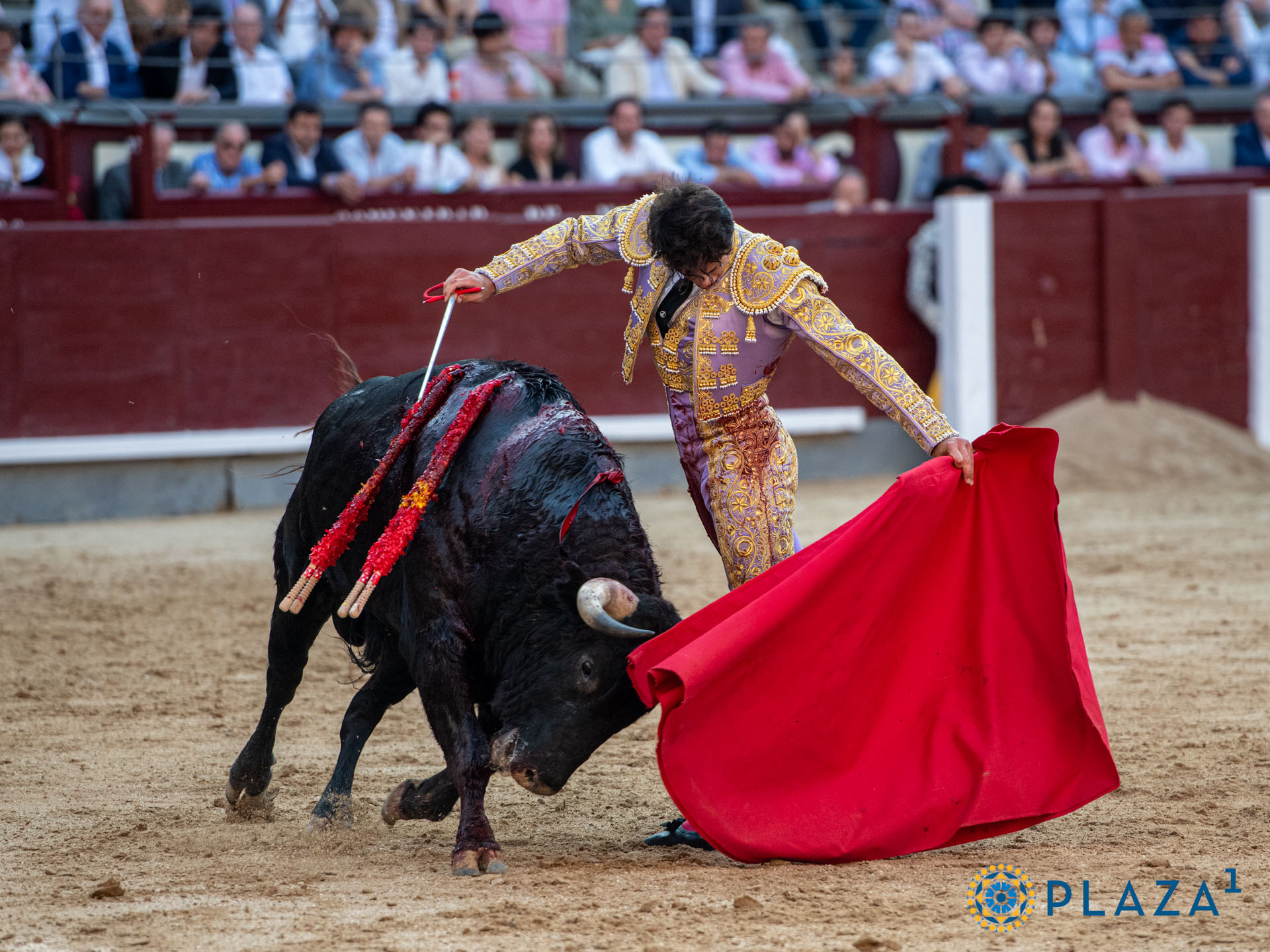 <p>Foto: Alfredo Arévalo / Plaza 1</p>