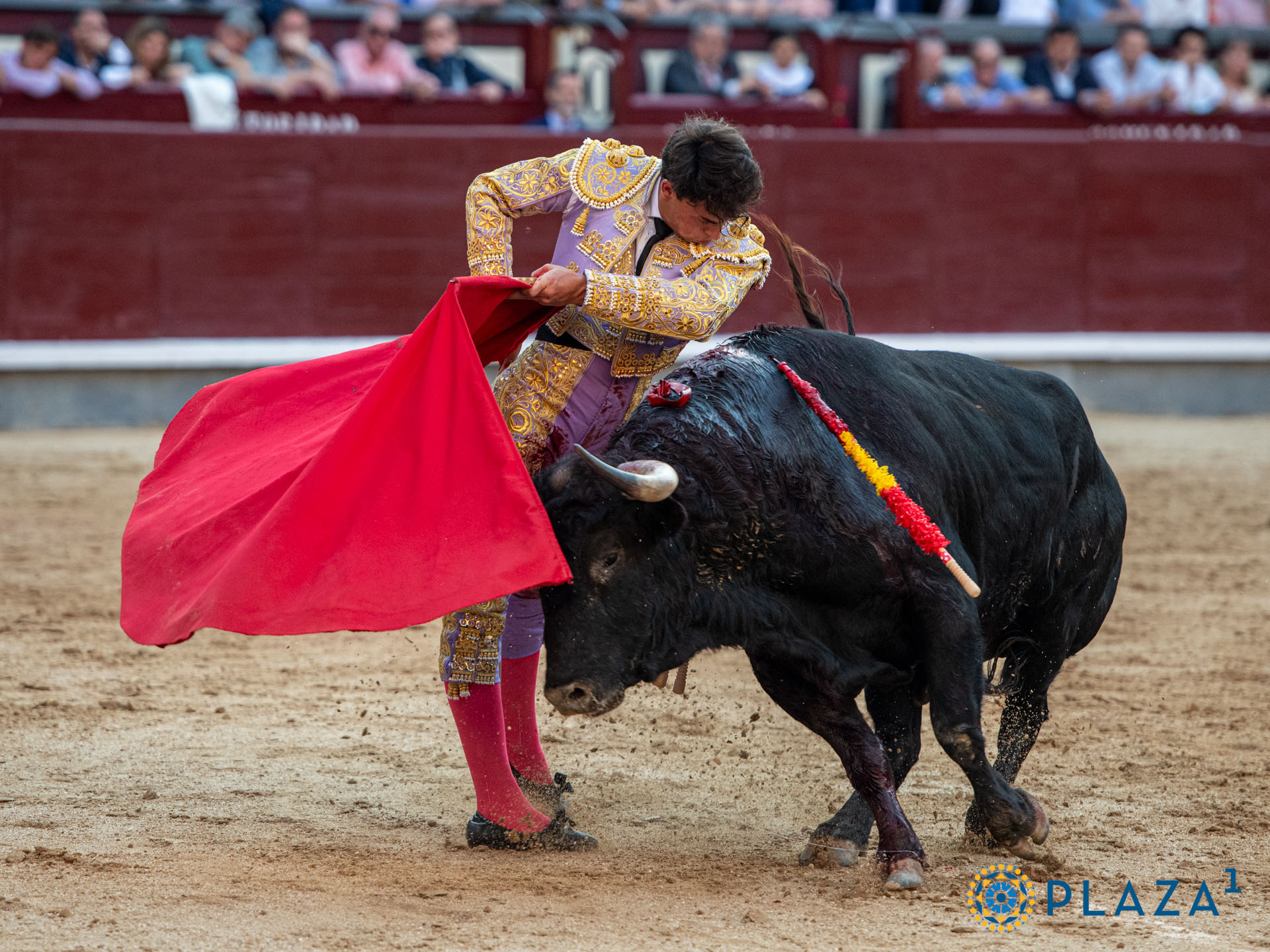 <p>Foto: Alfredo Arévalo / Plaza 1</p>