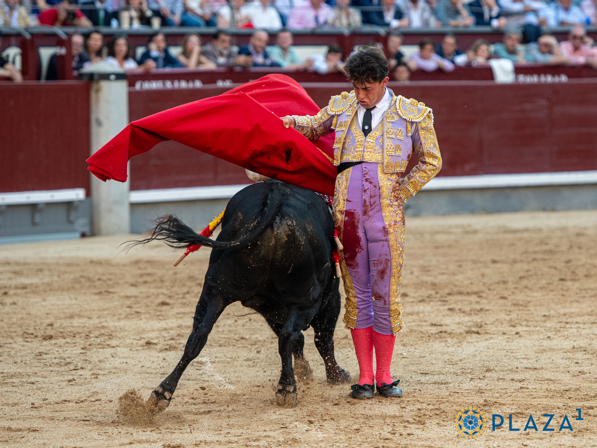 <p>Foto: Alfredo Arévalo / Plaza 1</p>