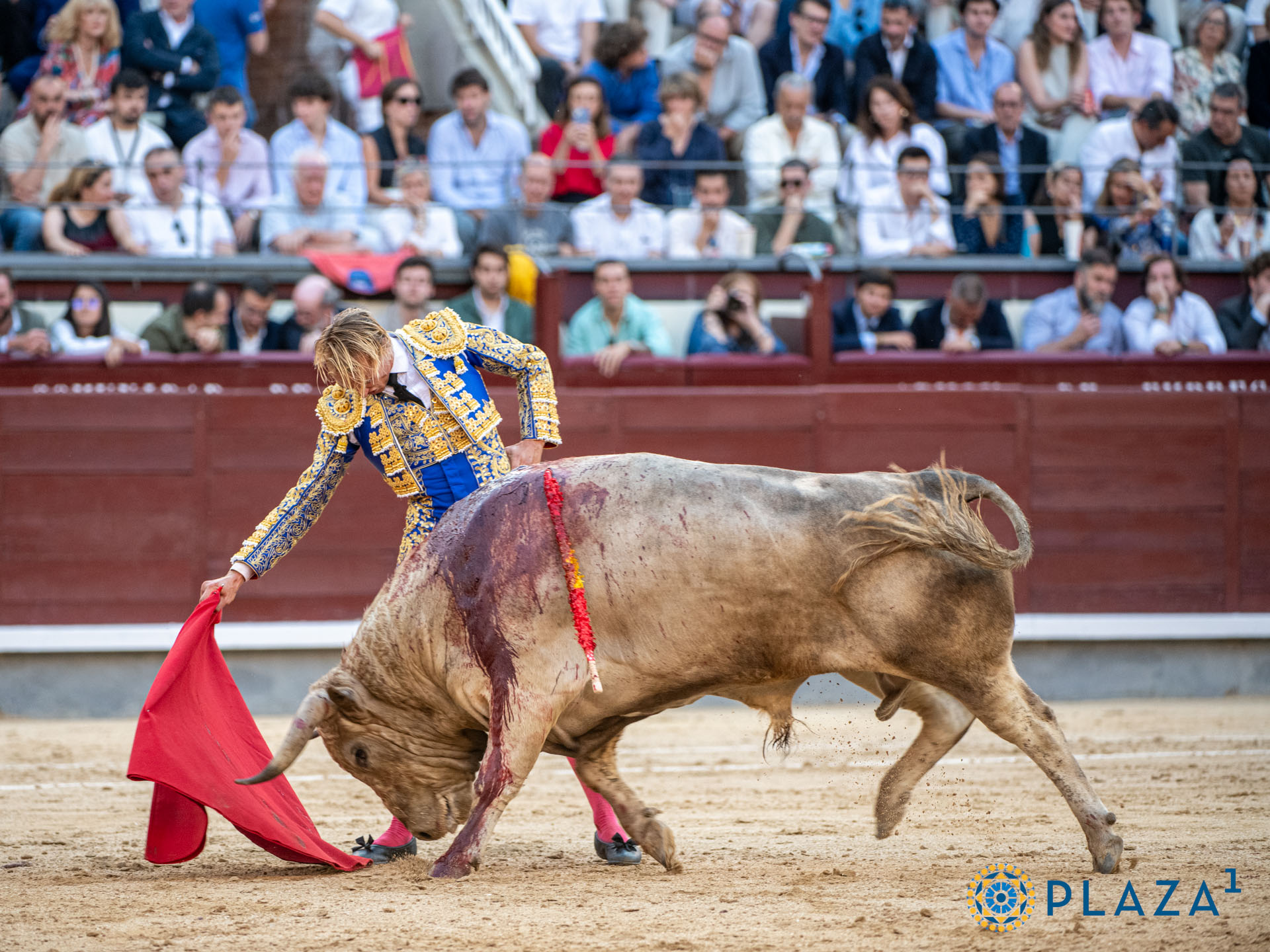 <p>Foto: Alfredo Arévalo / Plaza 1</p>