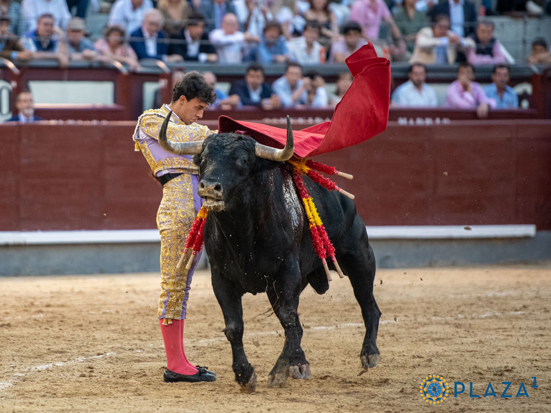 <p>Foto: Alfredo Arévalo / Plaza 1</p>