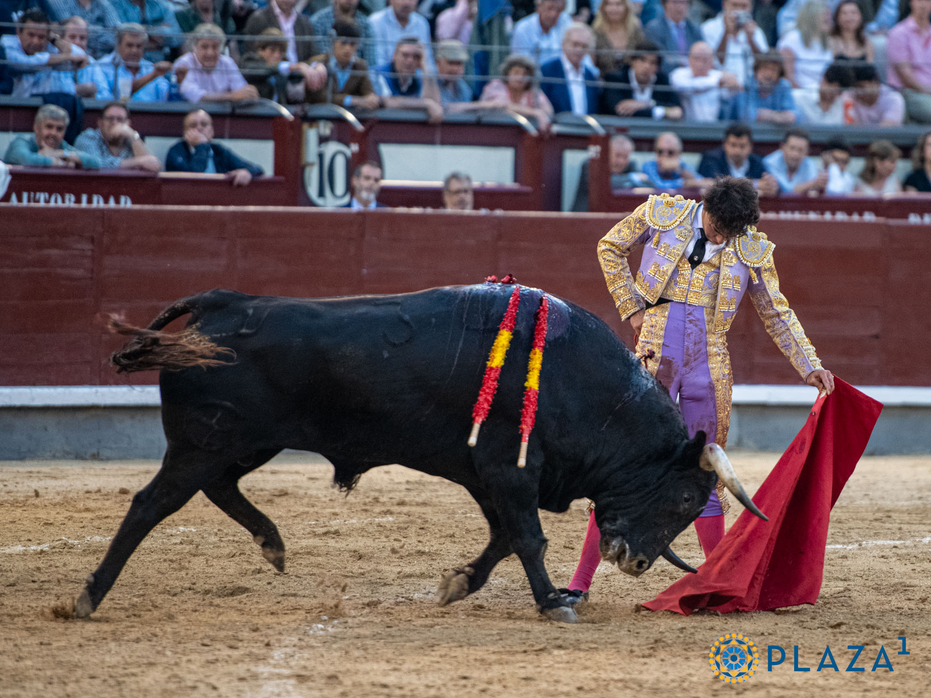 <p>Foto: Alfredo Arévalo / Plaza 1</p>