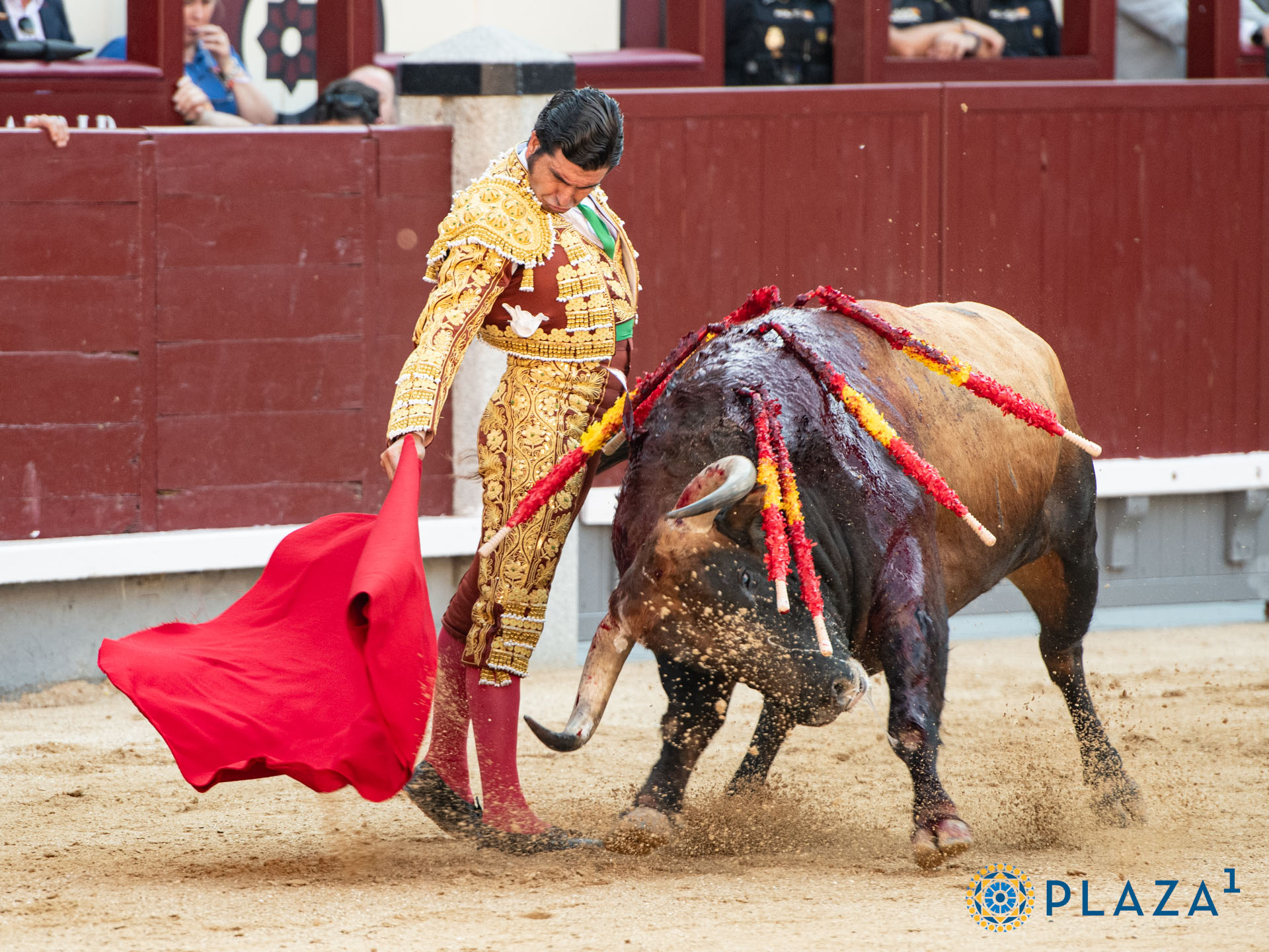 <p>Foto: Alfredo Arévalo / Plaza 1</p>